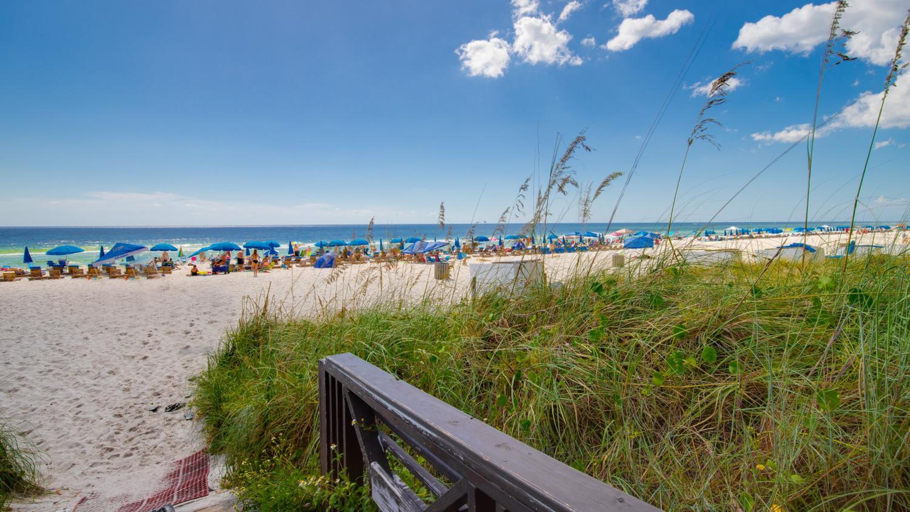 Shores of Panama 2212 | Sea You Soon