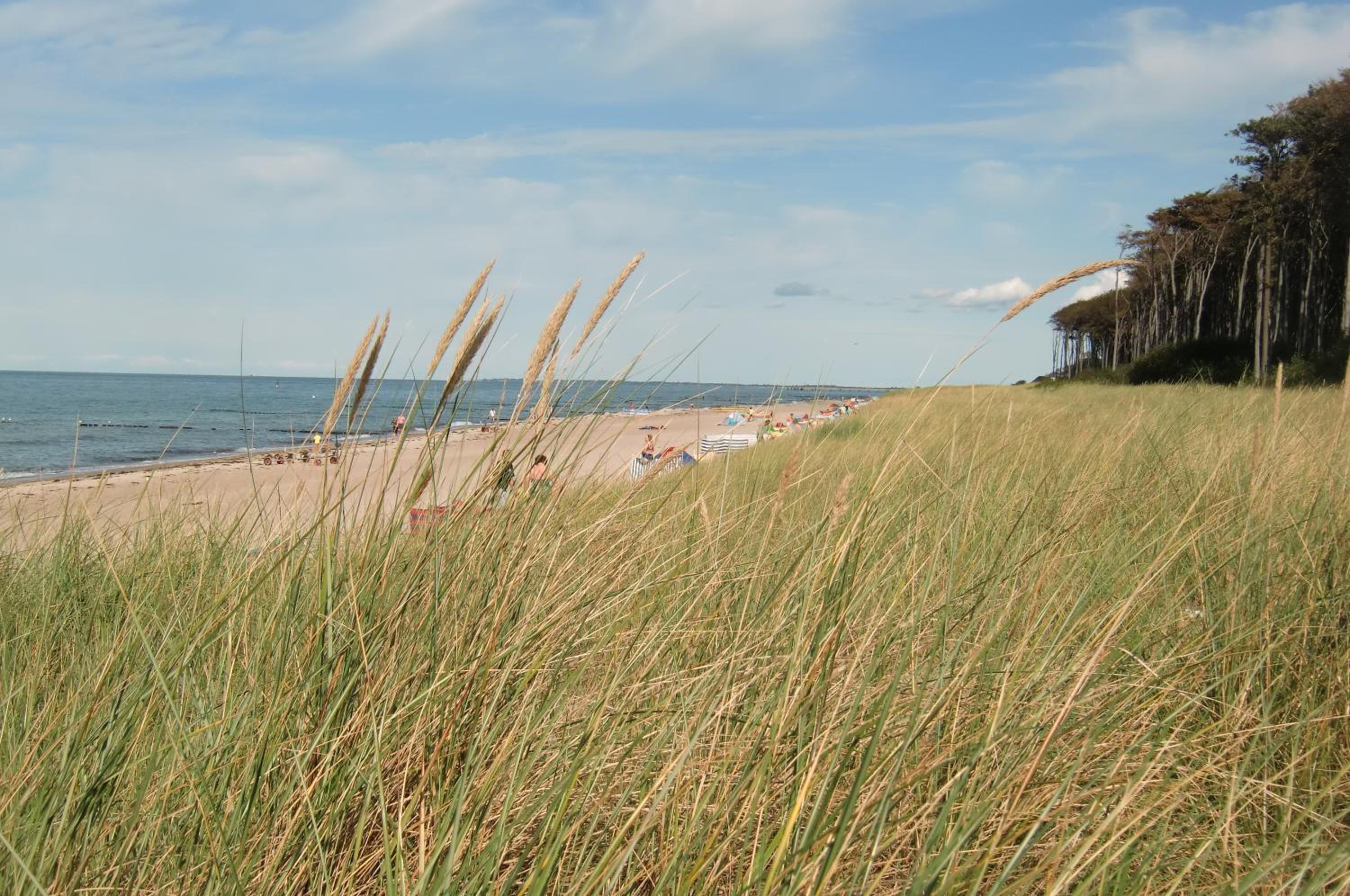 Residenz Lausitz - Apartments für Urlaub mit Hund