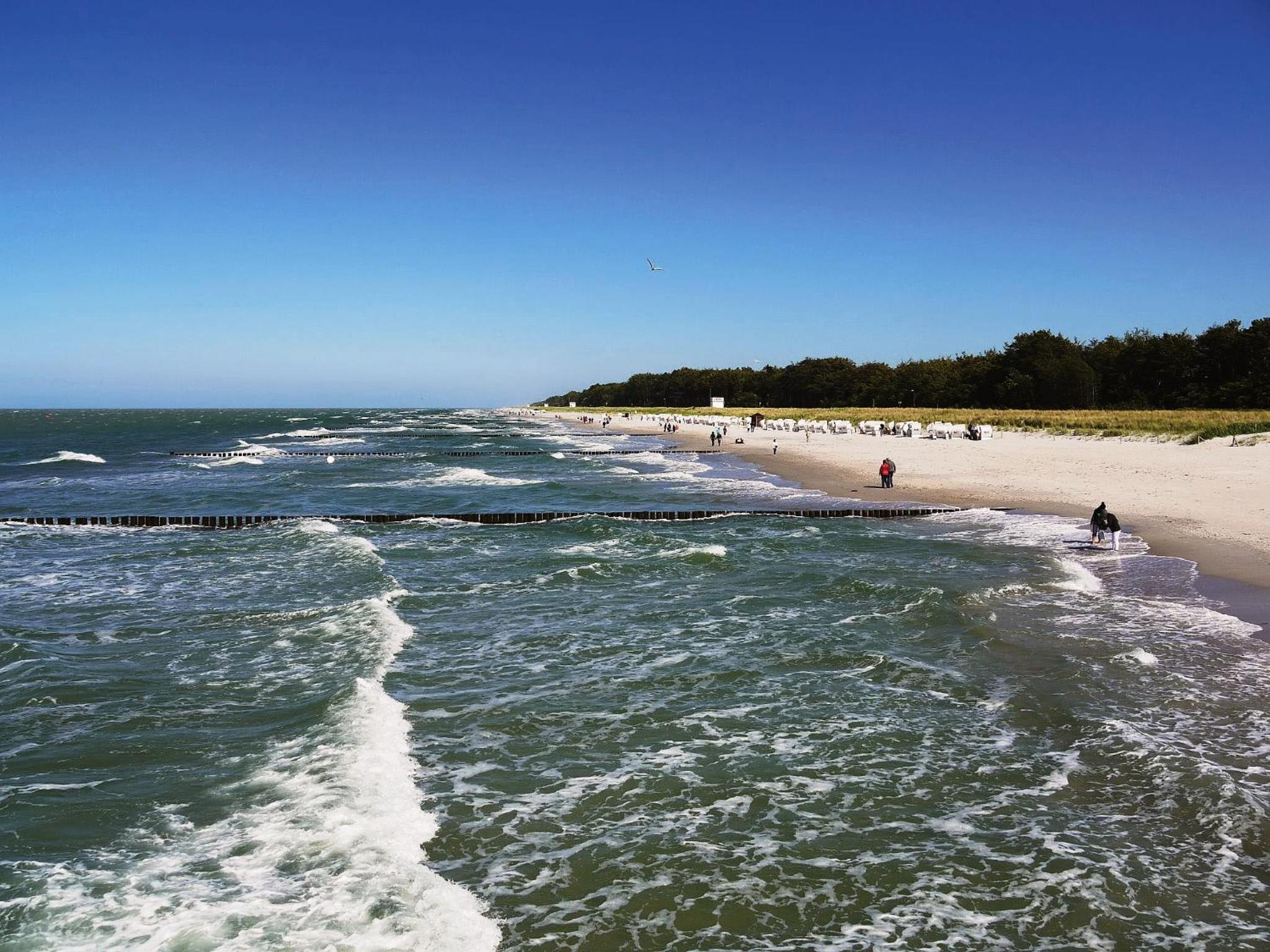 Residenz Lausitz - Apartments für Urlaub mit Hund