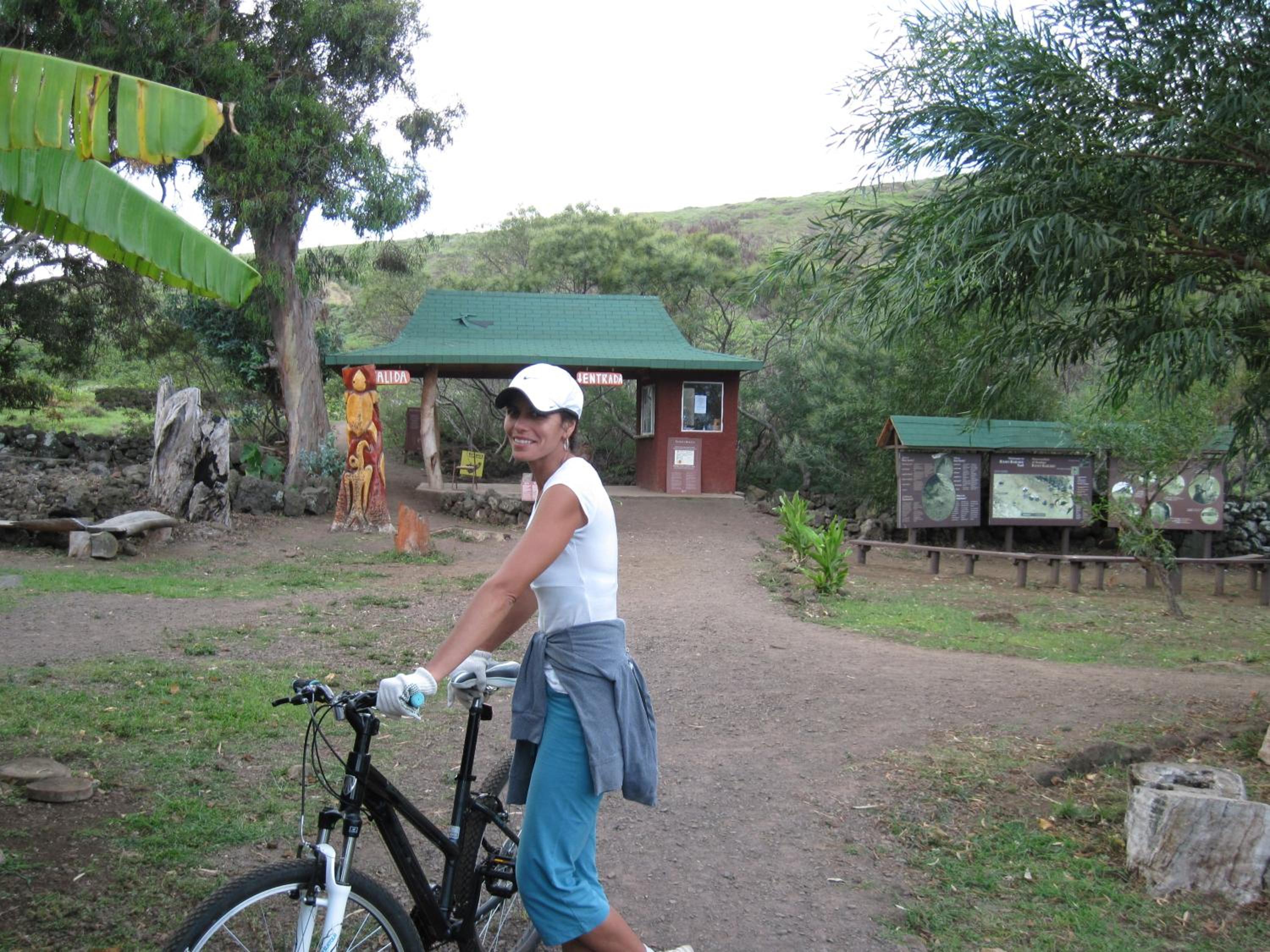 Cabañas Moai