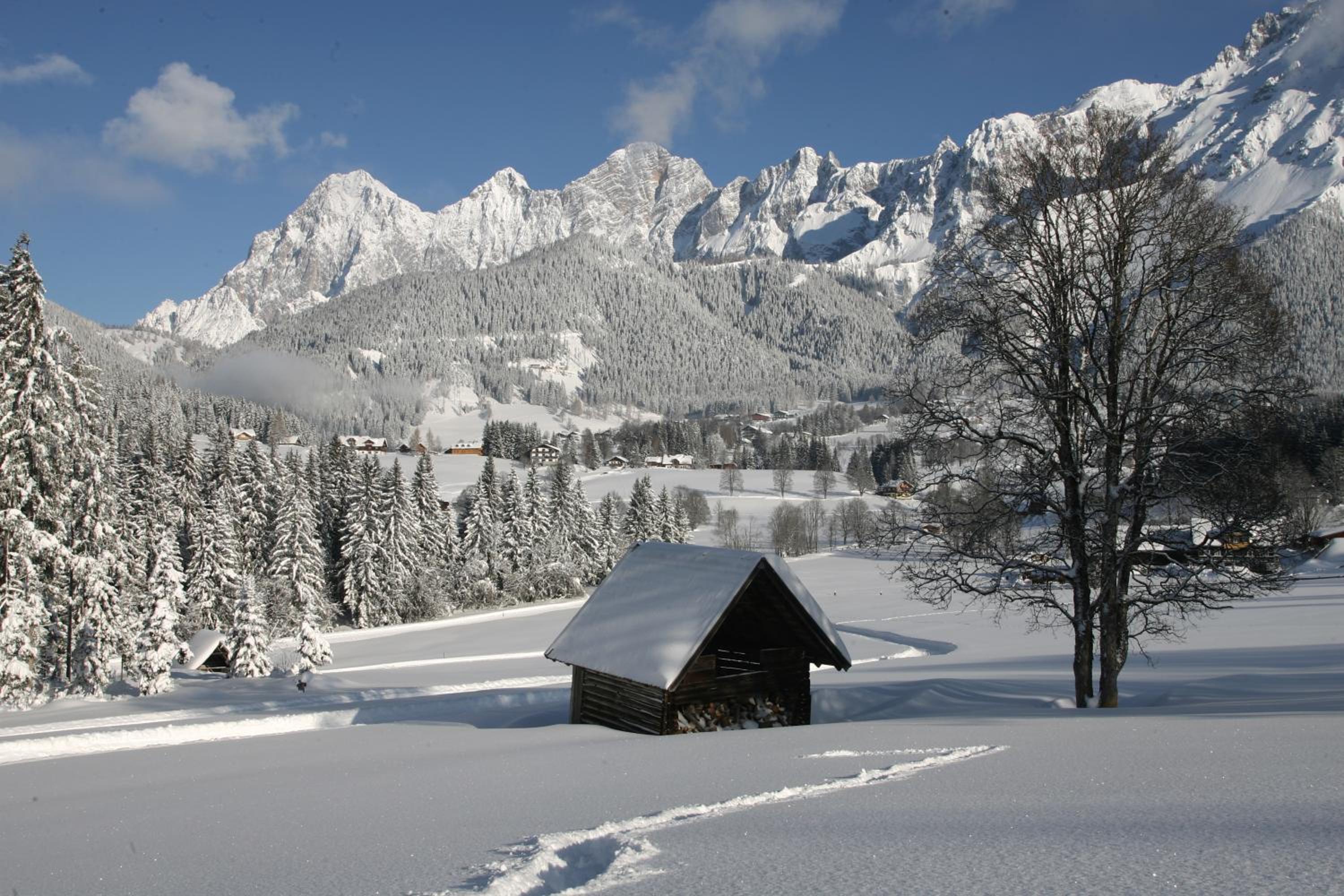 Pension Vorberghof- Bauernhofurlaub