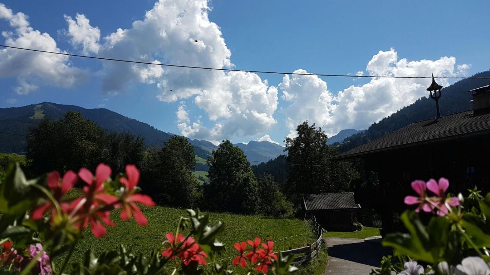 Wörglerhof's Hüttenapartments mit Kachelofen Farm Stay