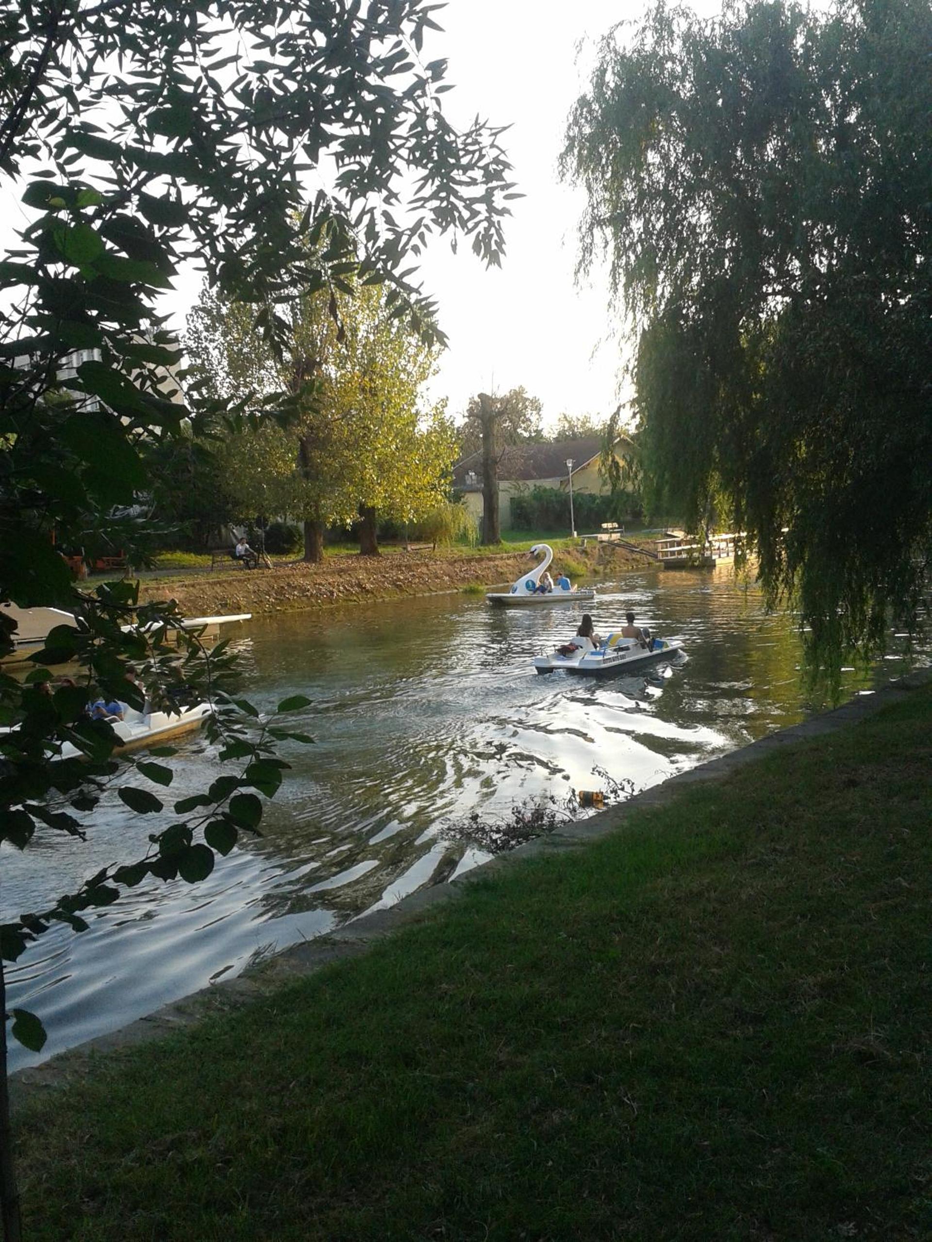 Photo 39