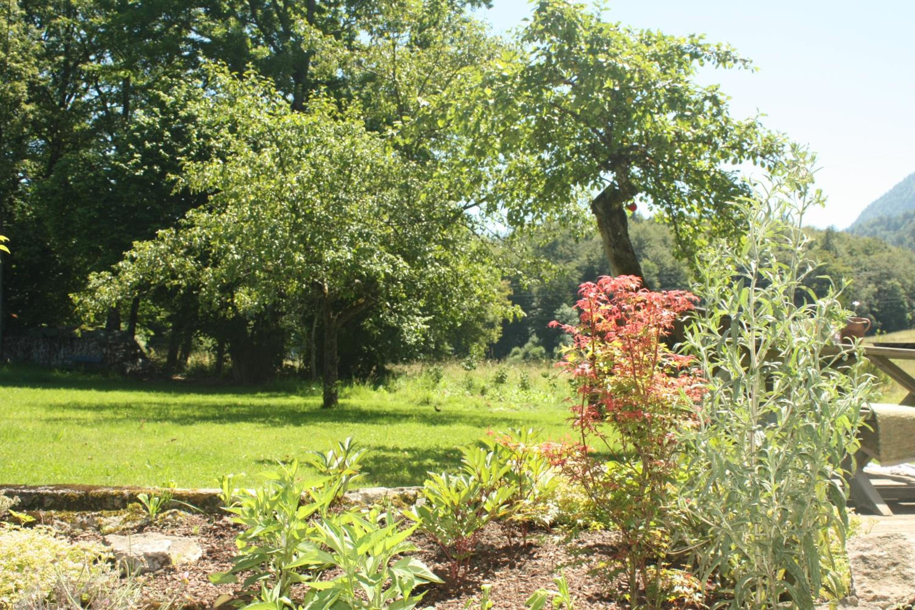 Landlust Ischl