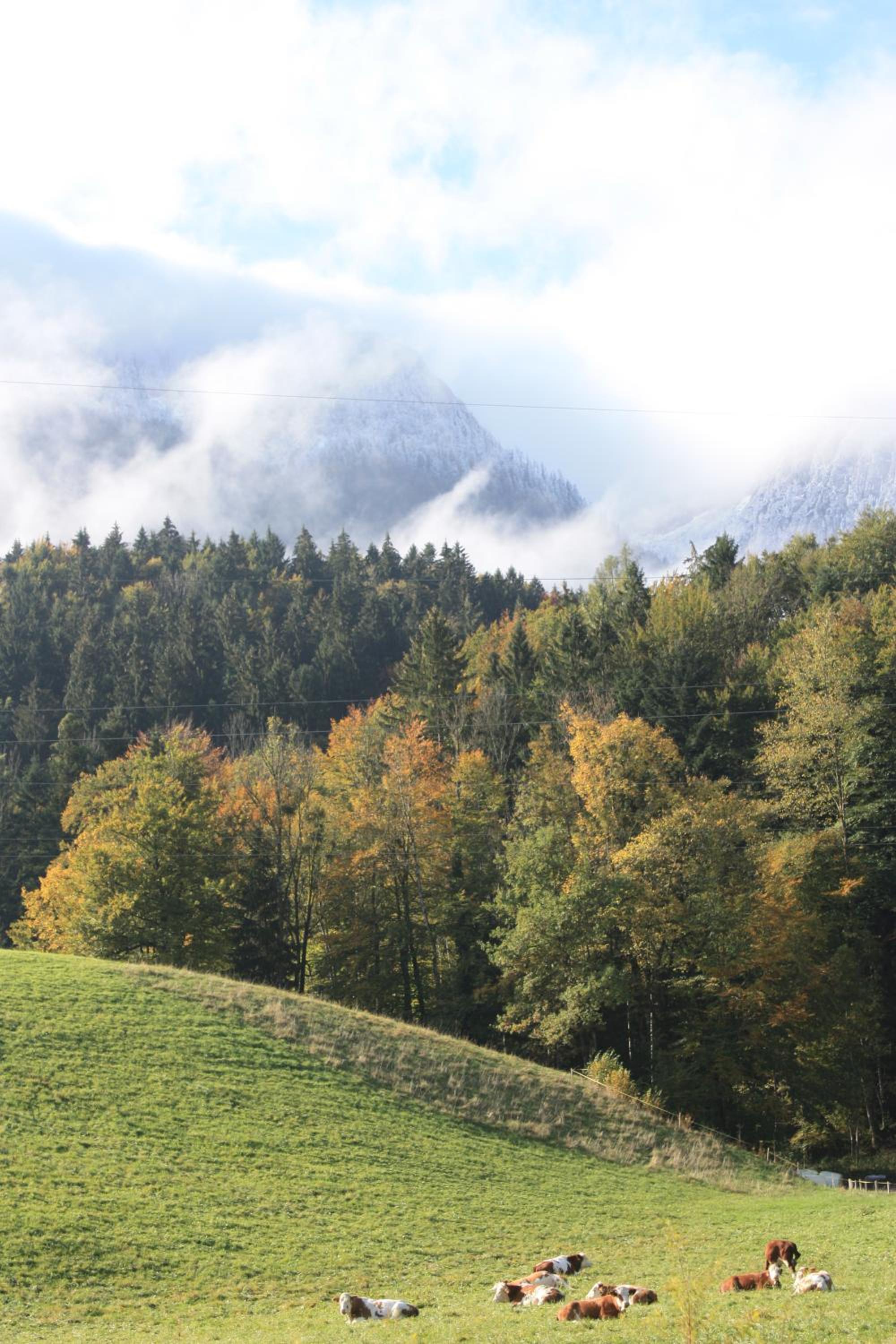 Landlust Ischl