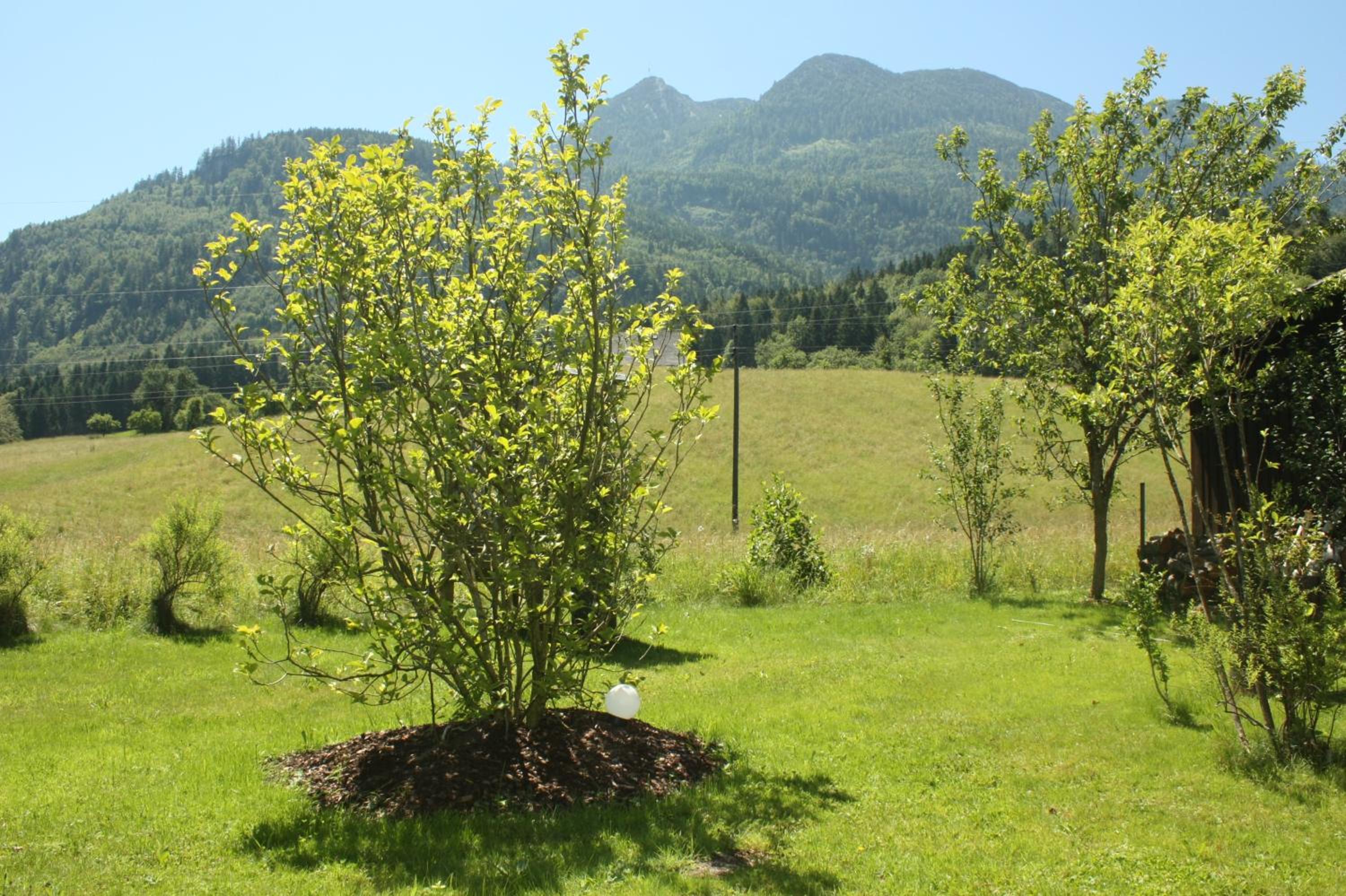 Landlust Ischl