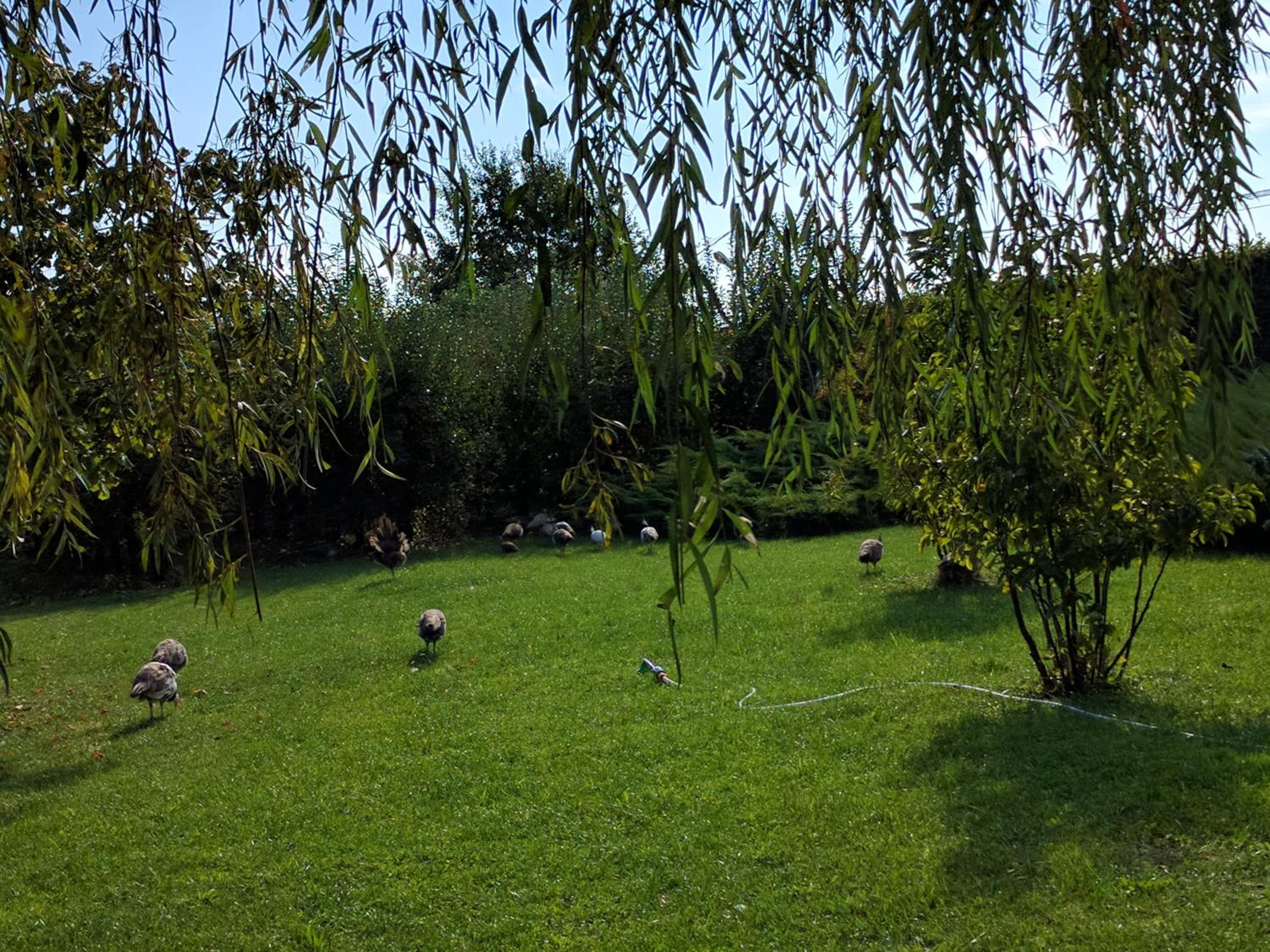Photo 8