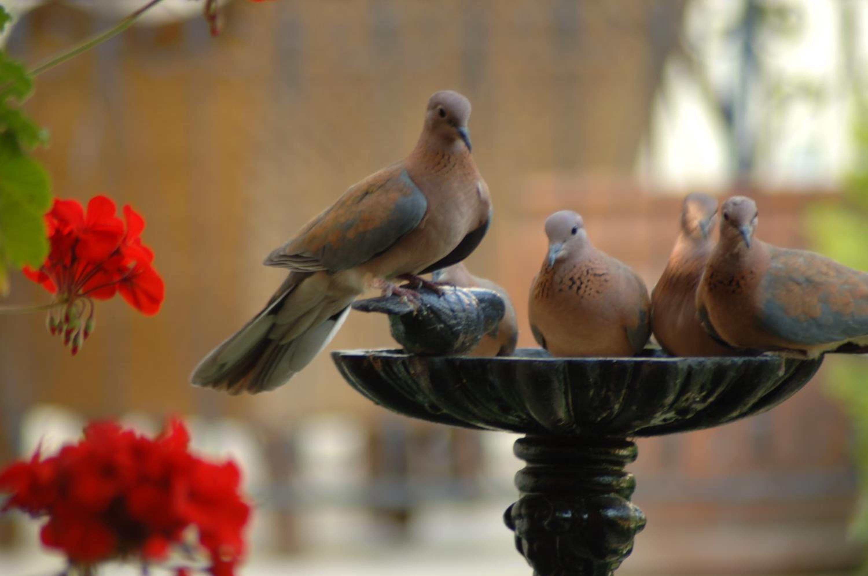 Tuvana Hotel - Image 7