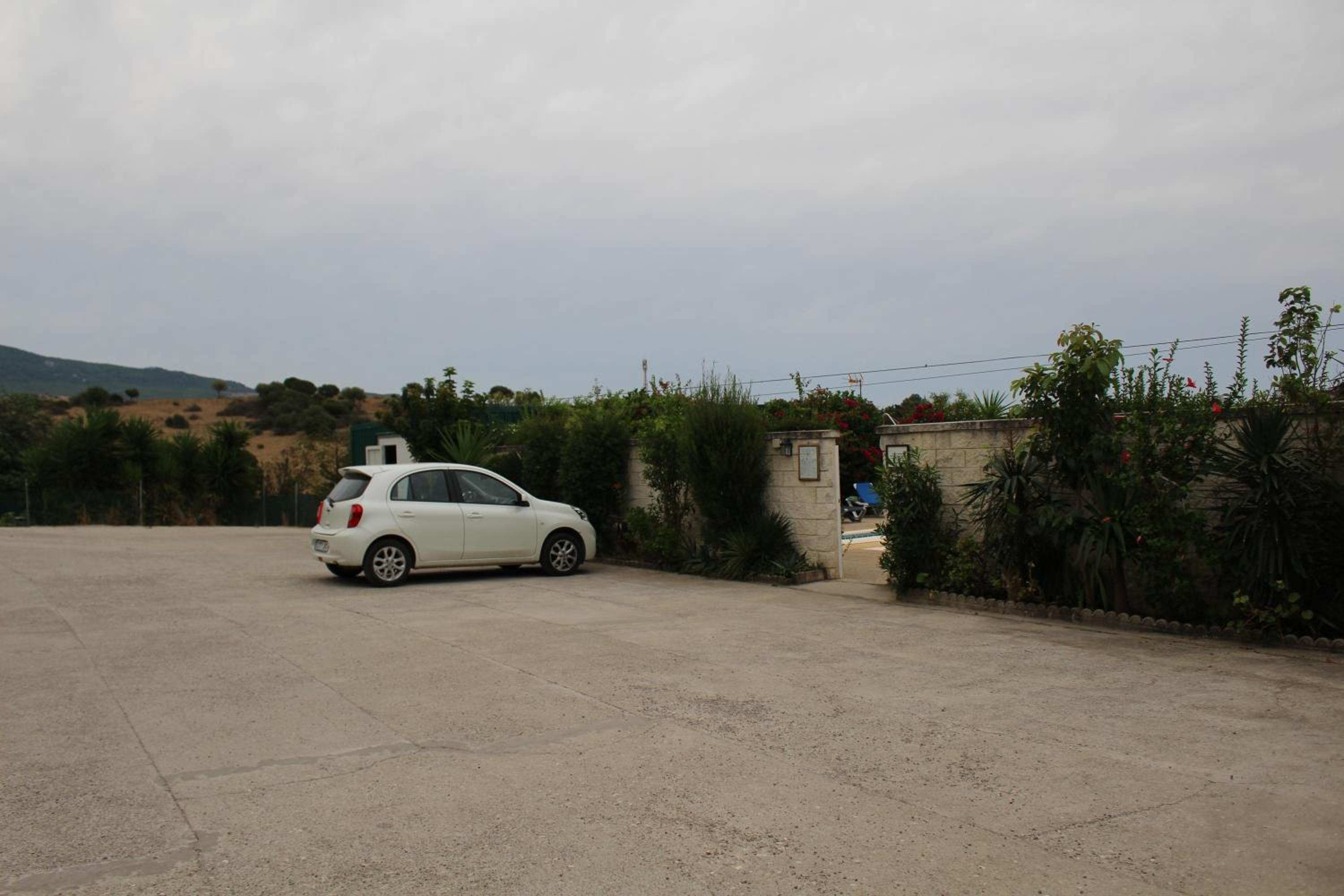 Photo 25
