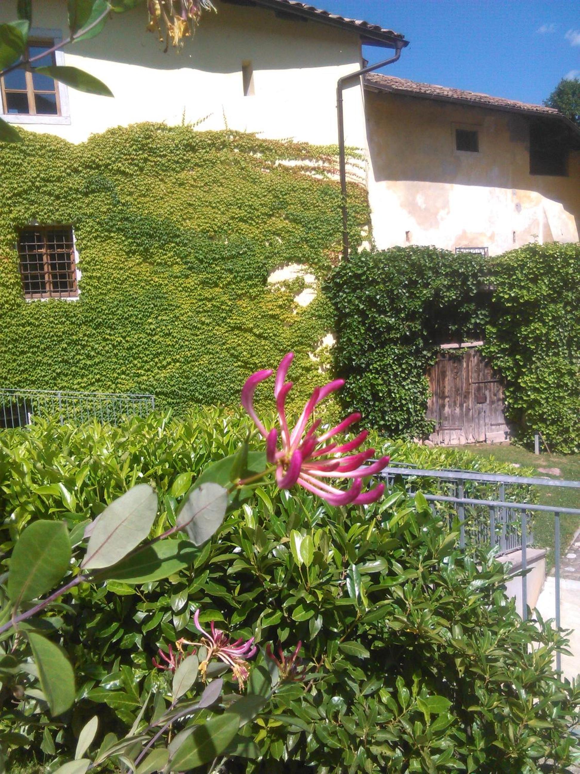 Photo 39