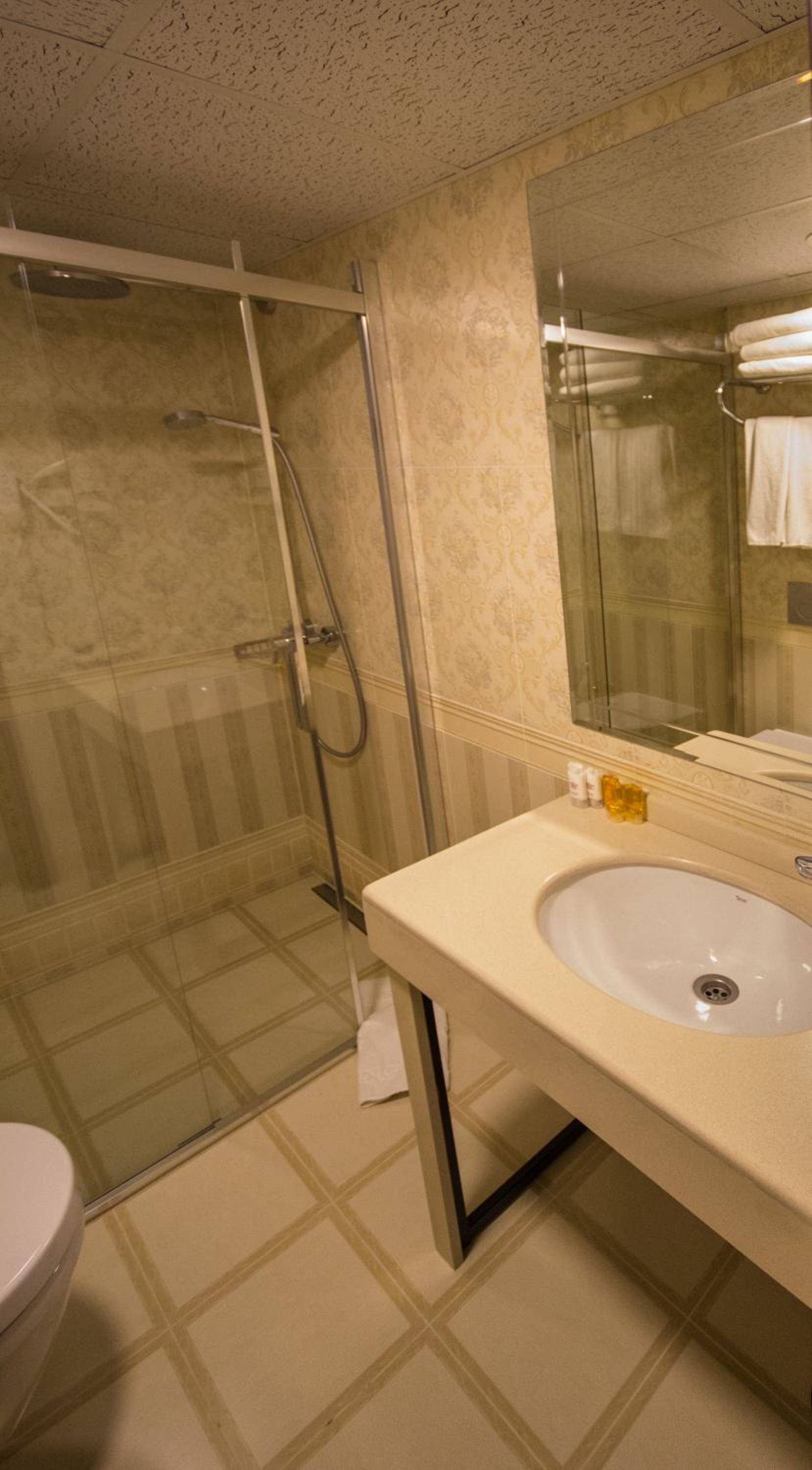 Deluxe Golden Horn Sultanahmet Hotel - Image 79