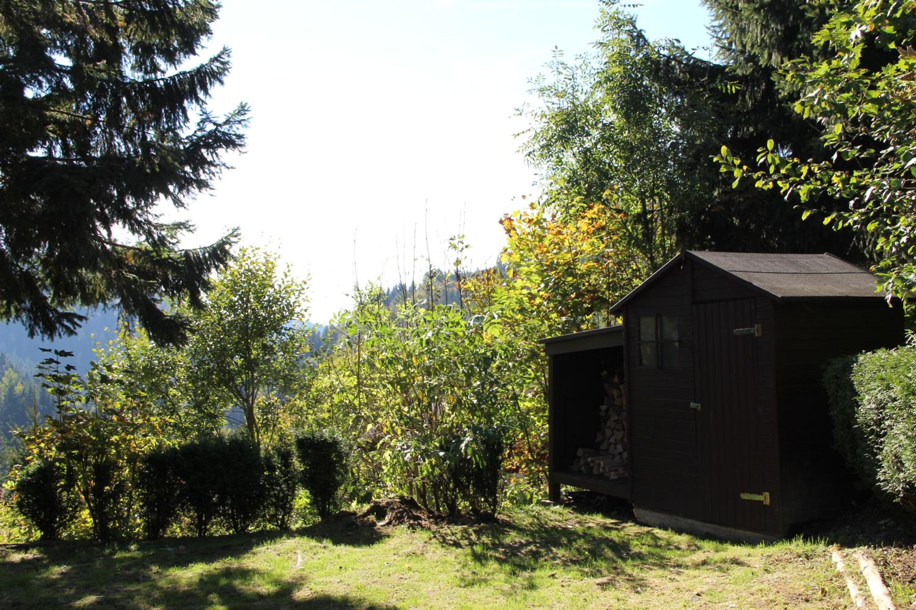 Photo 41