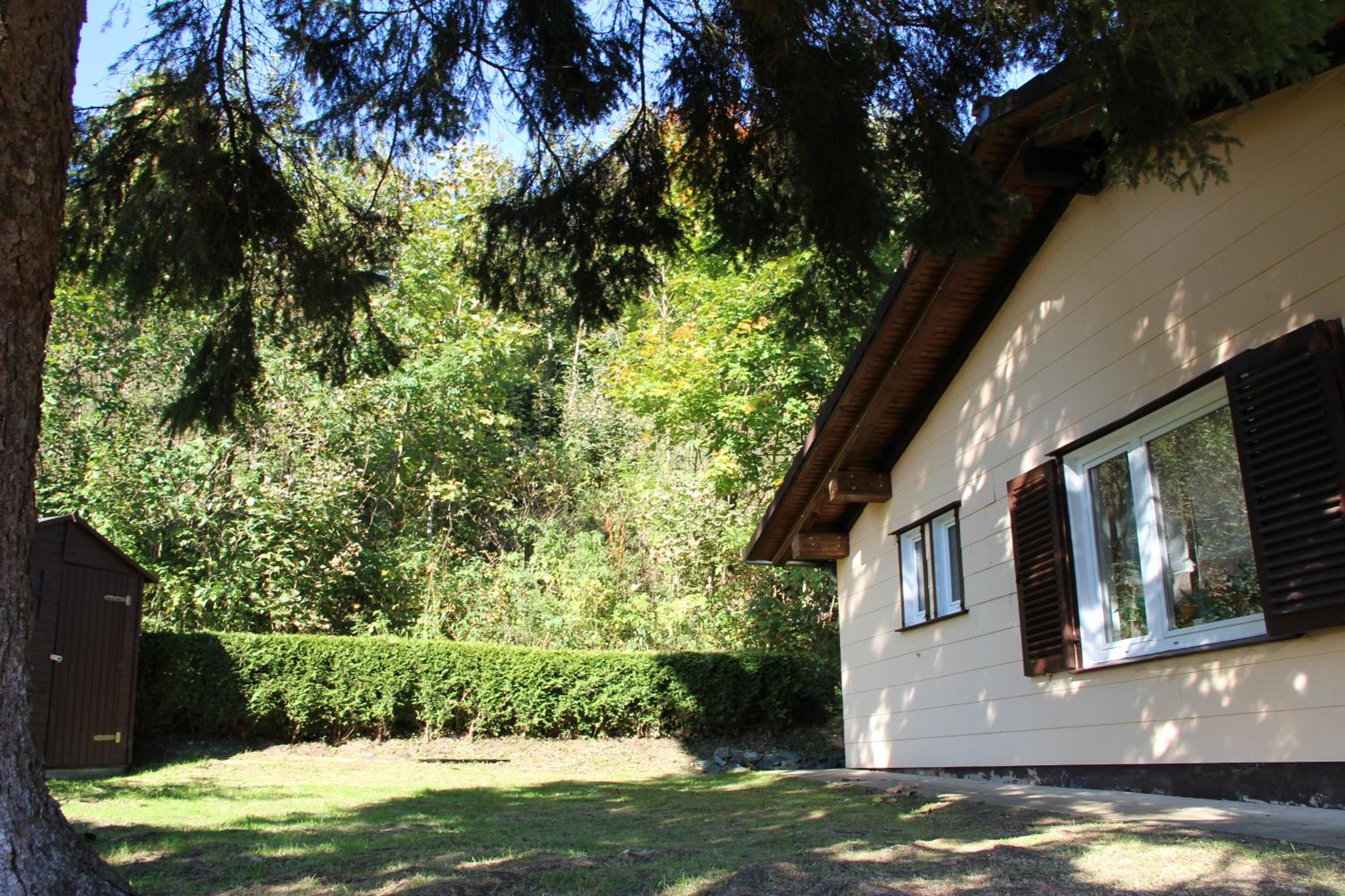 Photo 42
