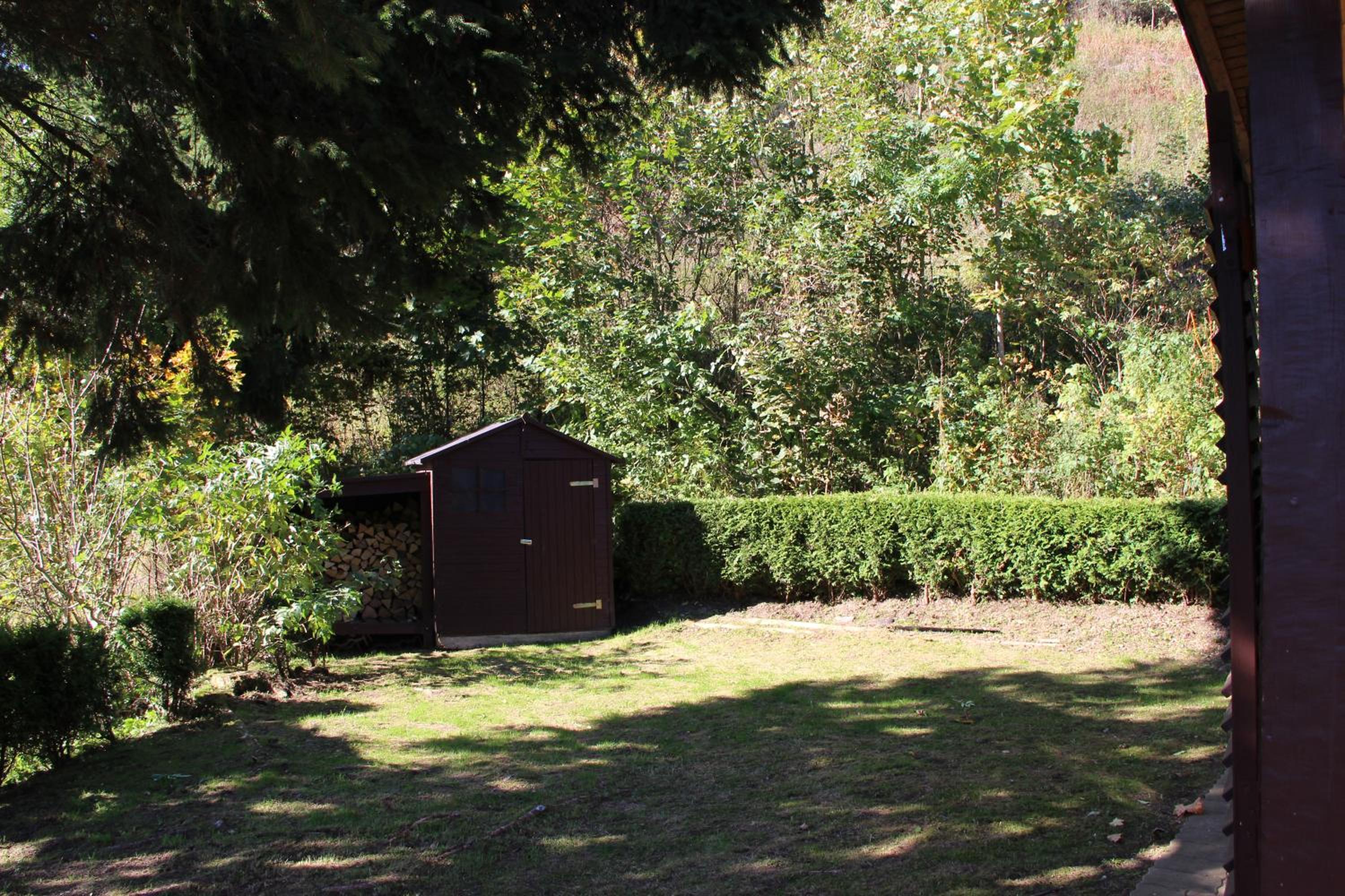 Photo 44