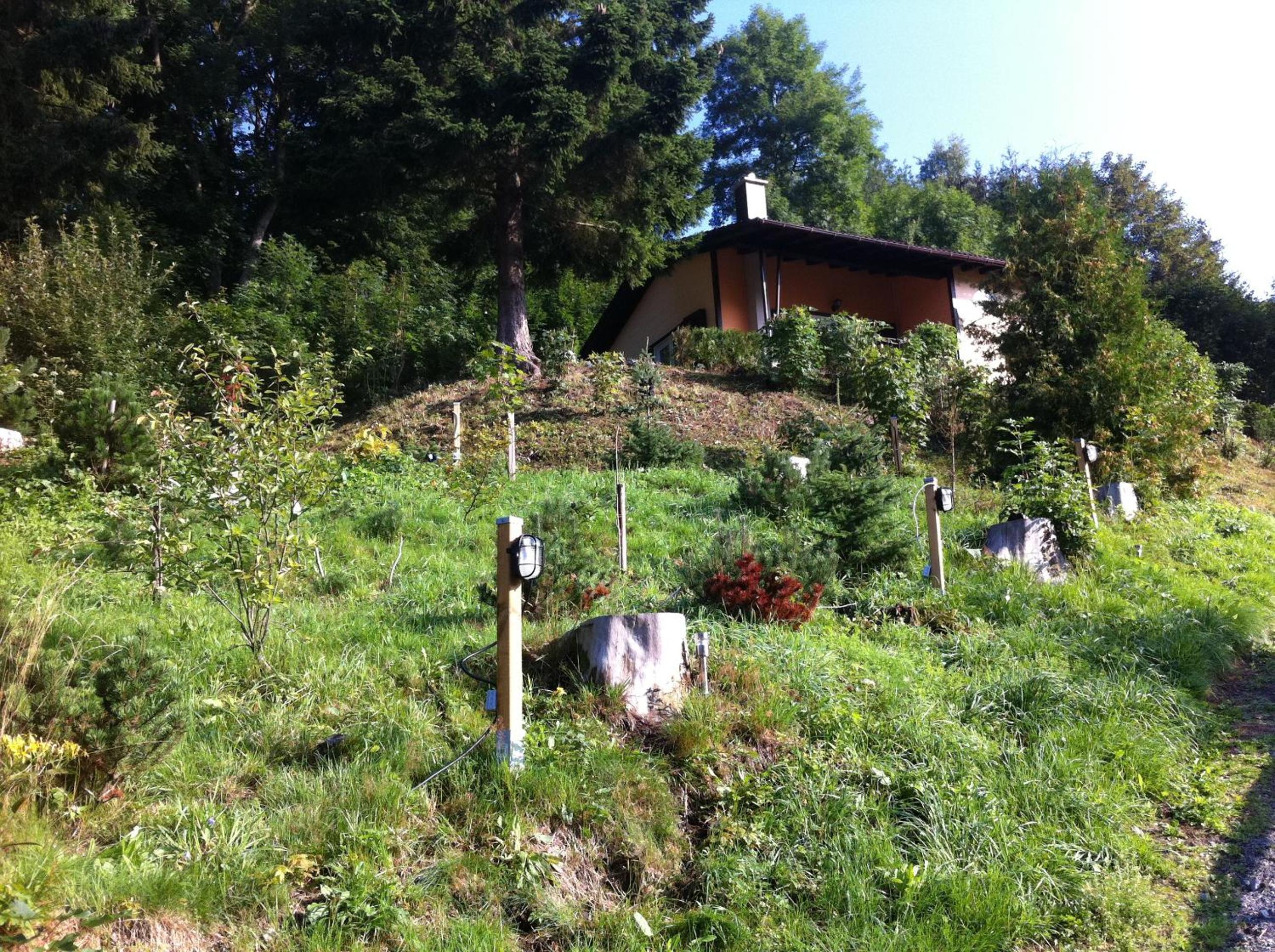 Photo 59