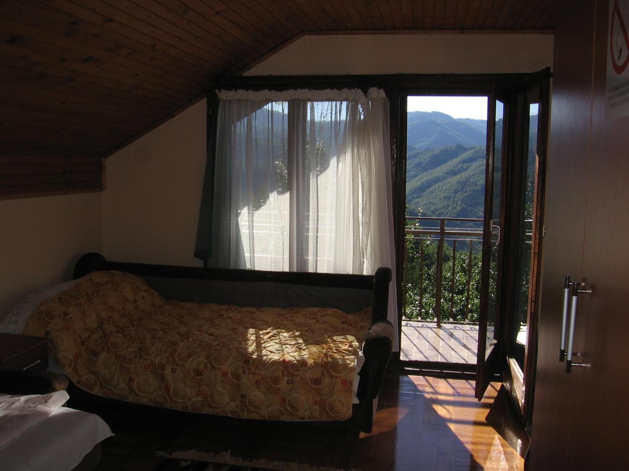 Photo 44