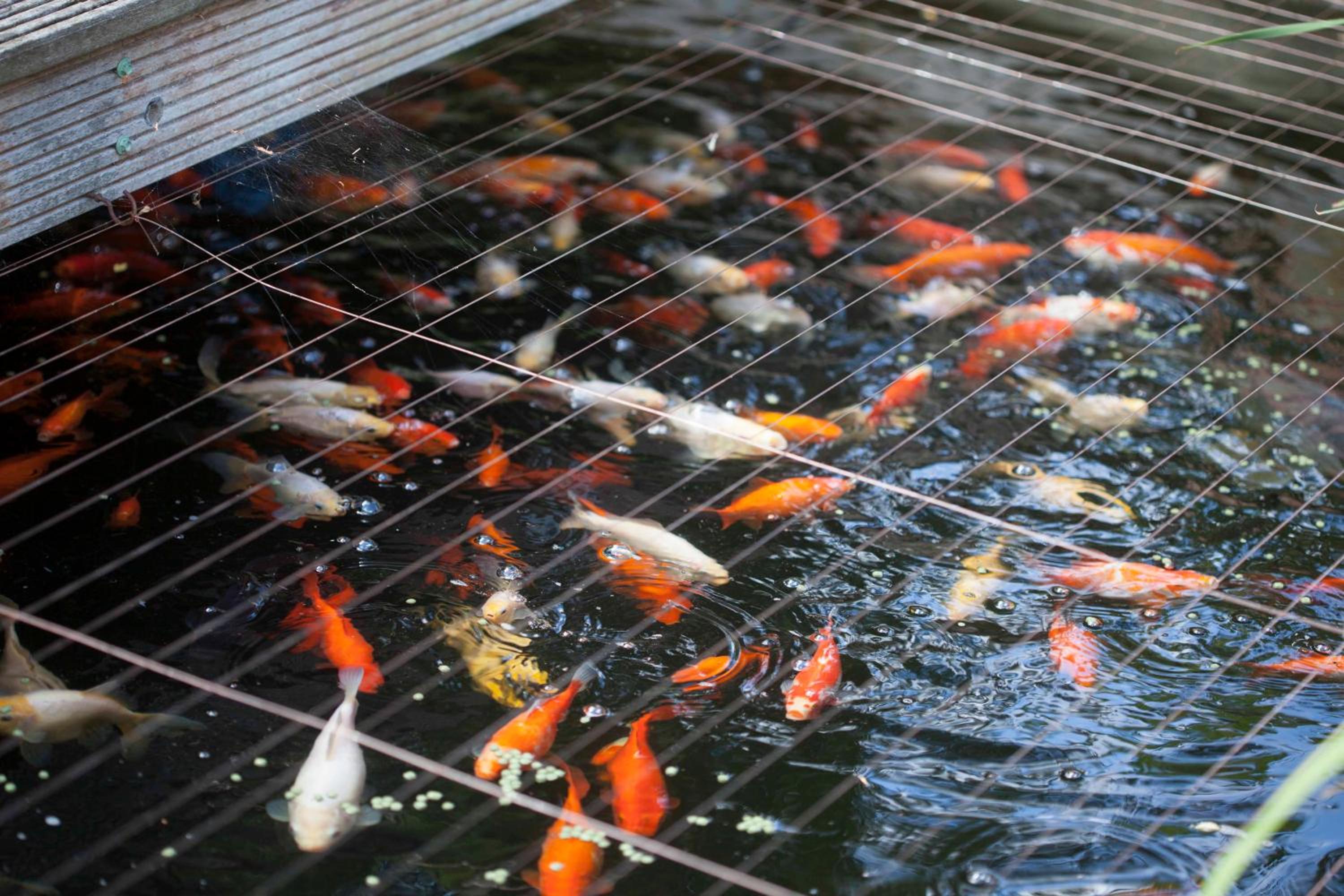 outdoor bbq area