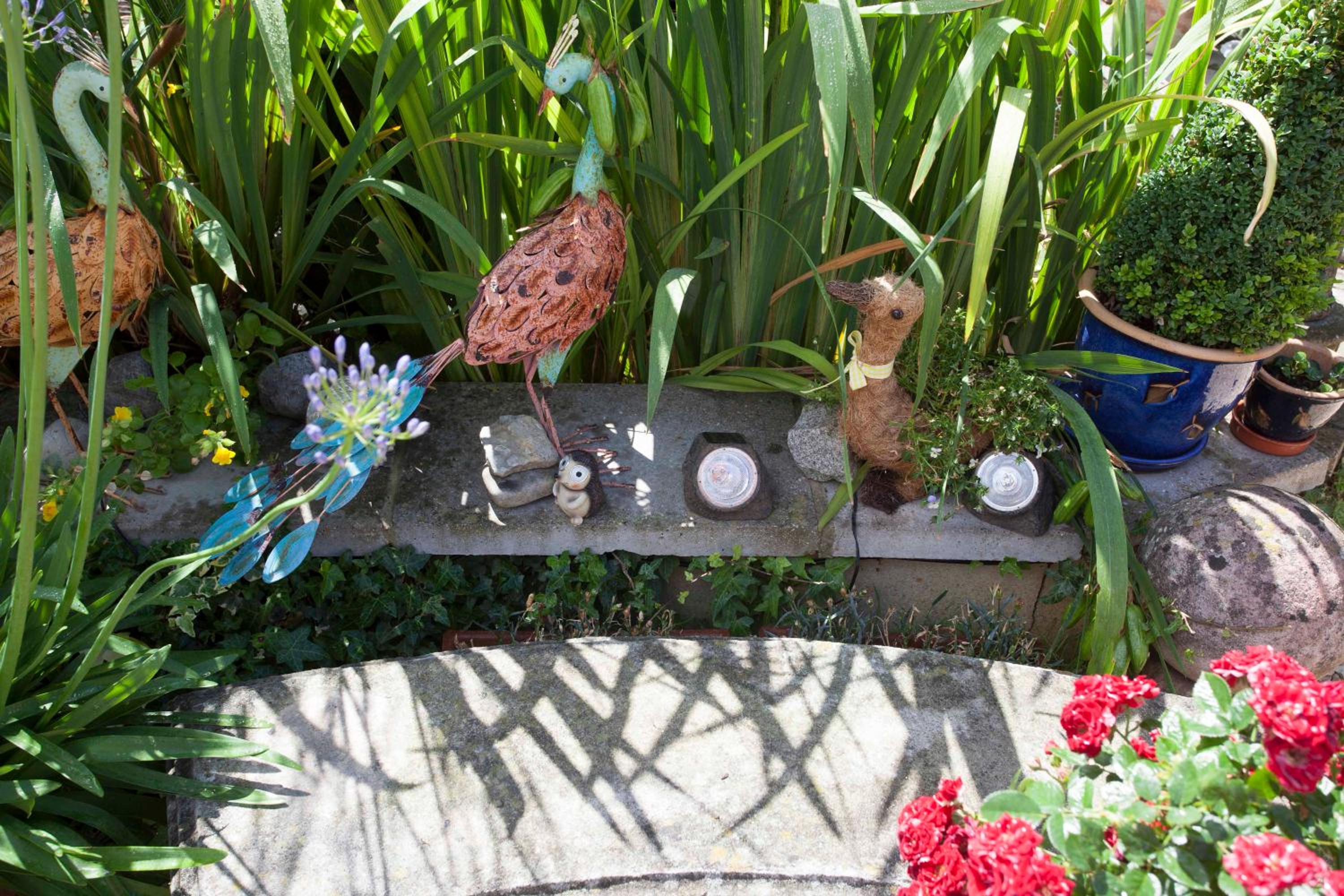 garden