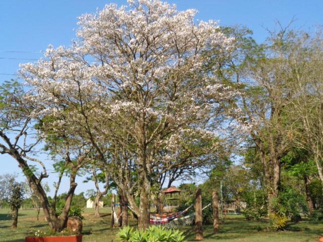 Pousada Fazenda Buracão