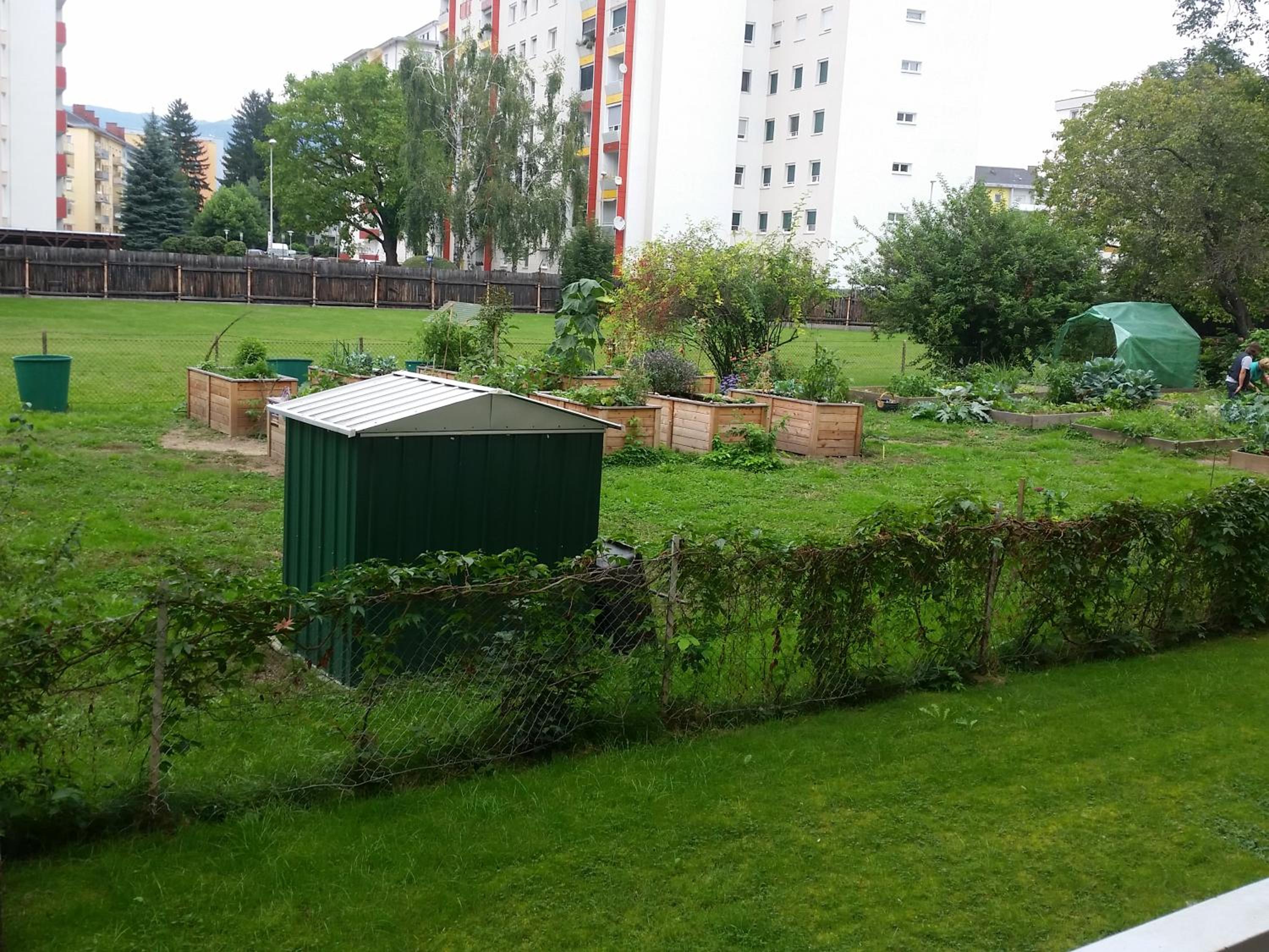 Photo 13