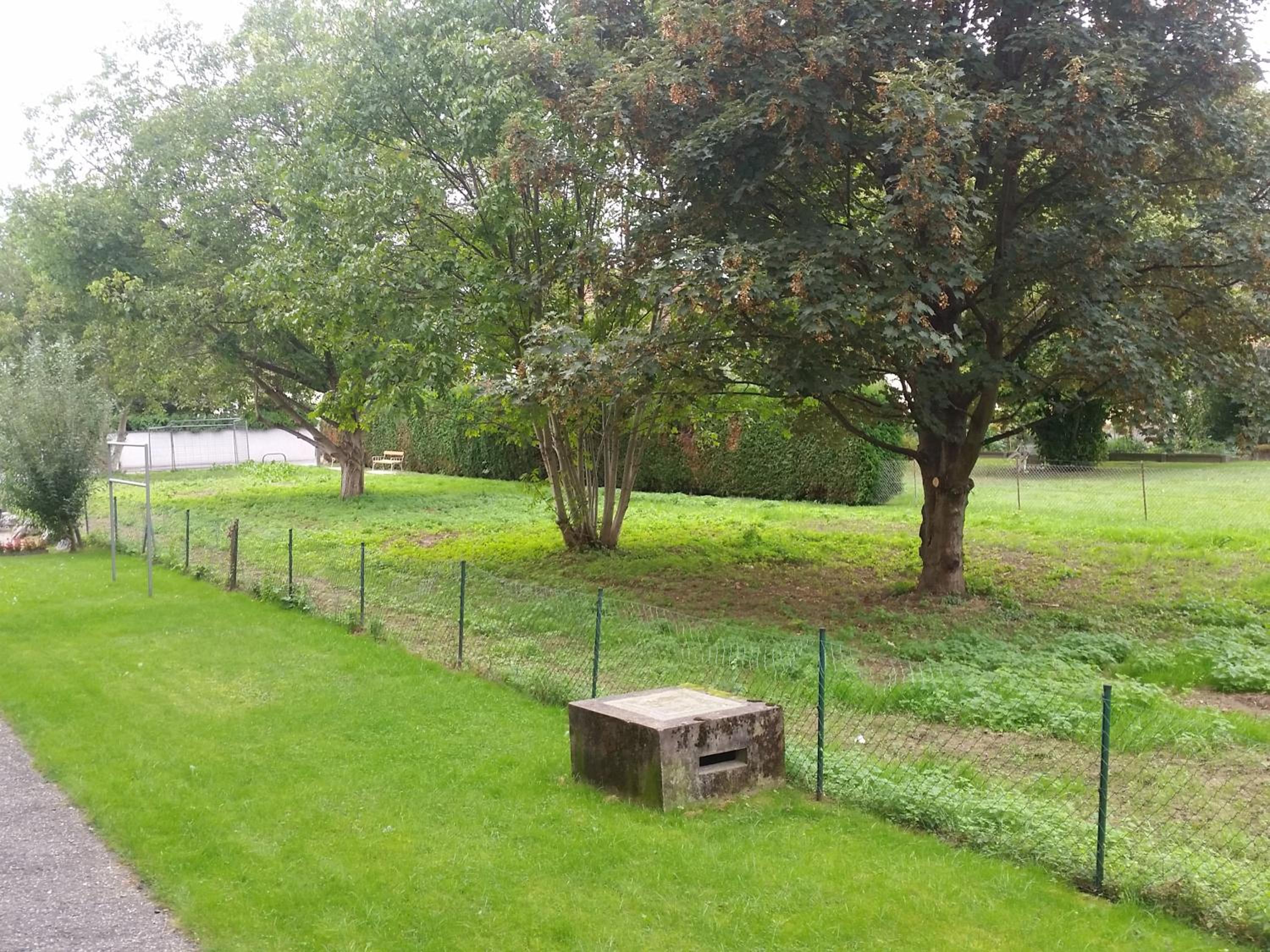 Photo 14