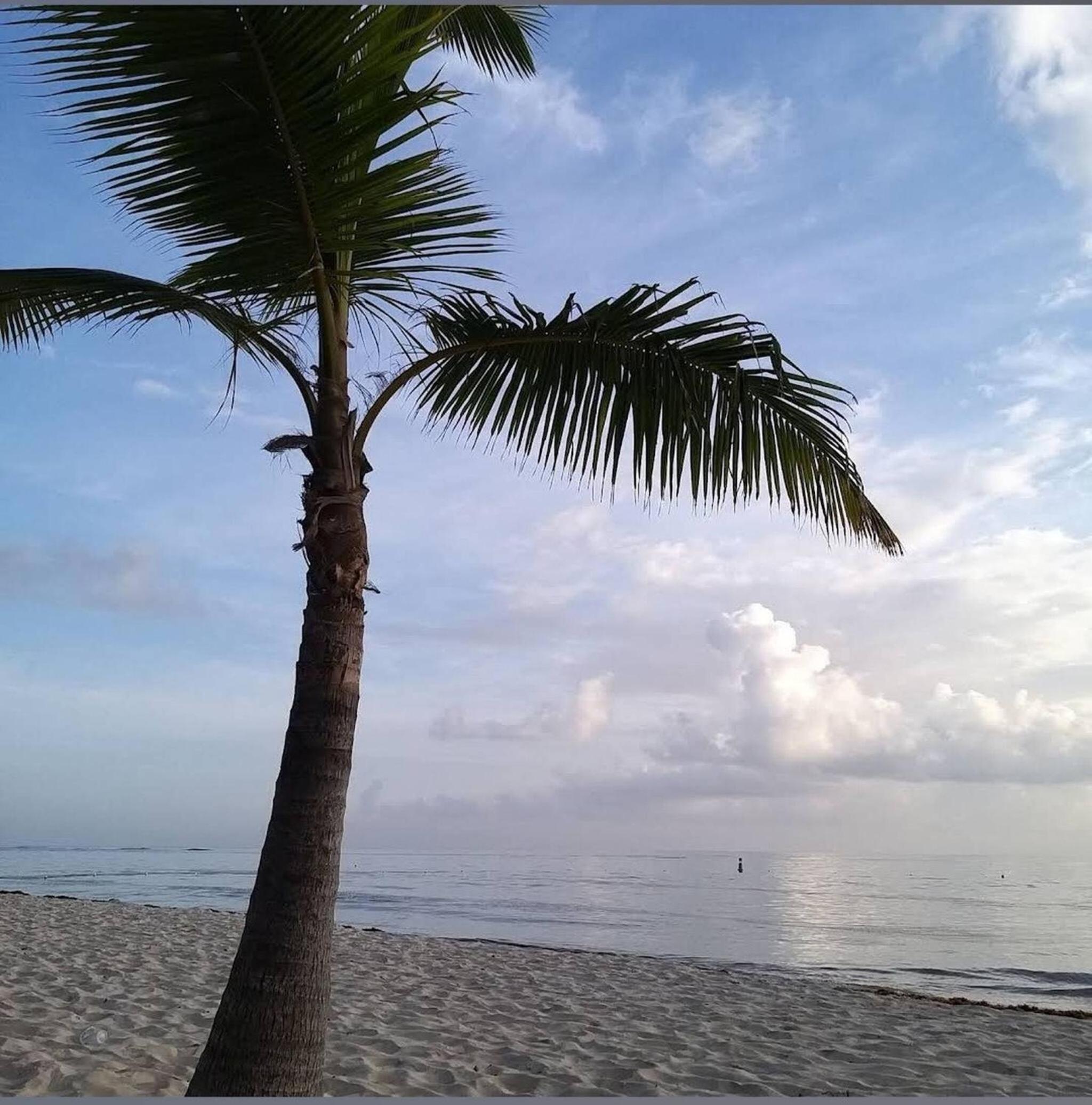 Palmar Apartments Comfort Great Location