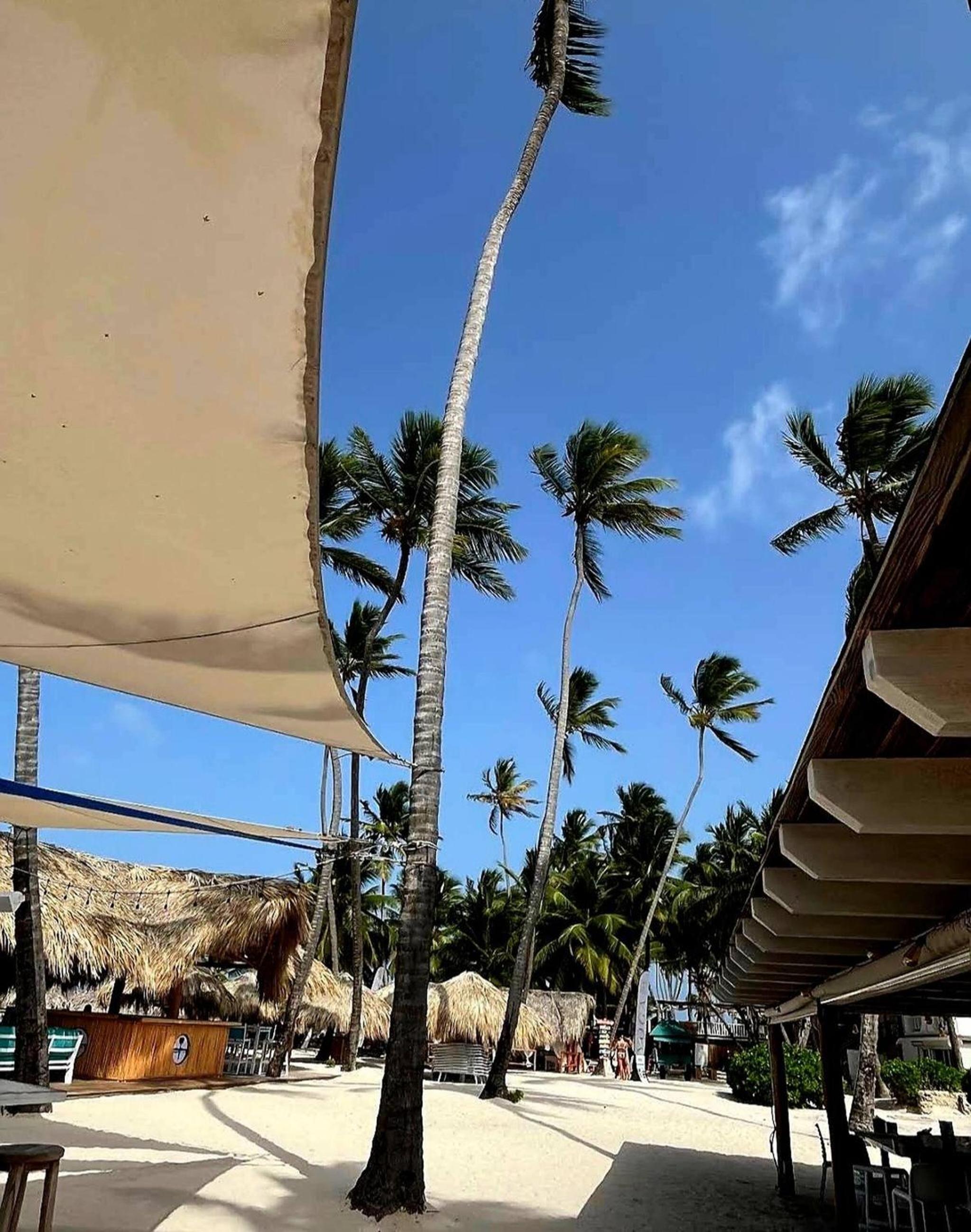 Palmar Apartments Comfort Great Location
