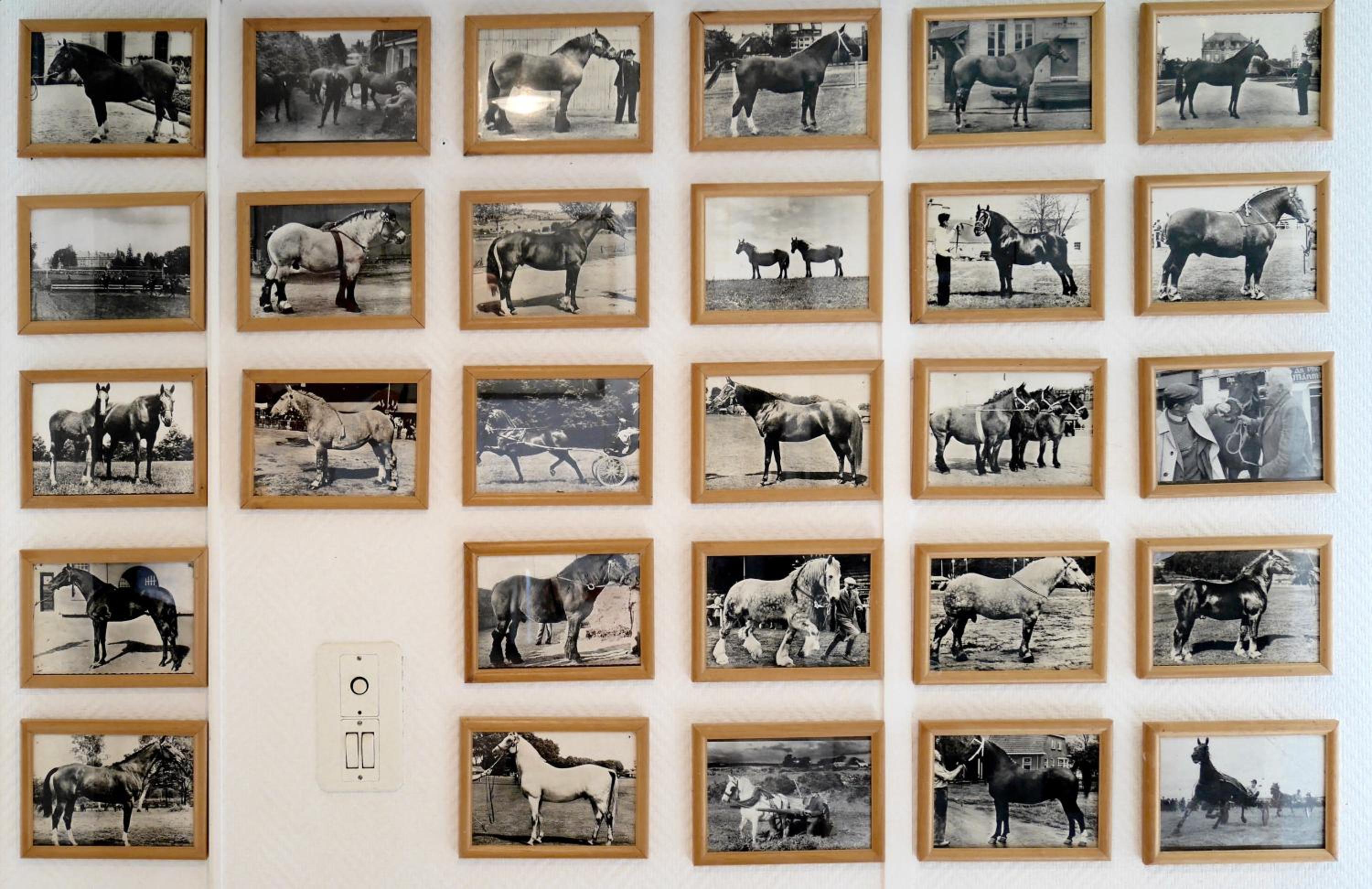 Les Appartements du Palais
