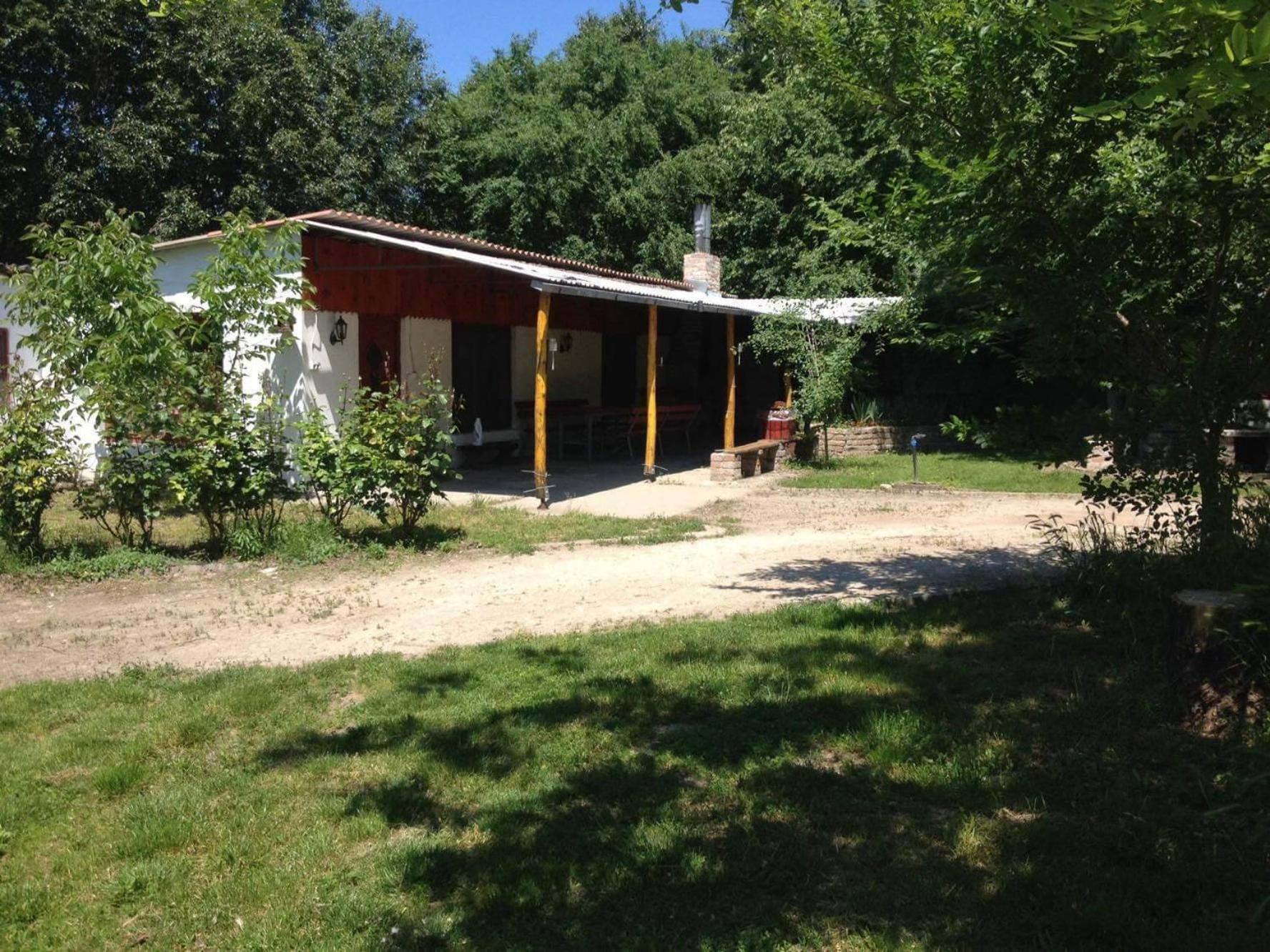 Photo 23