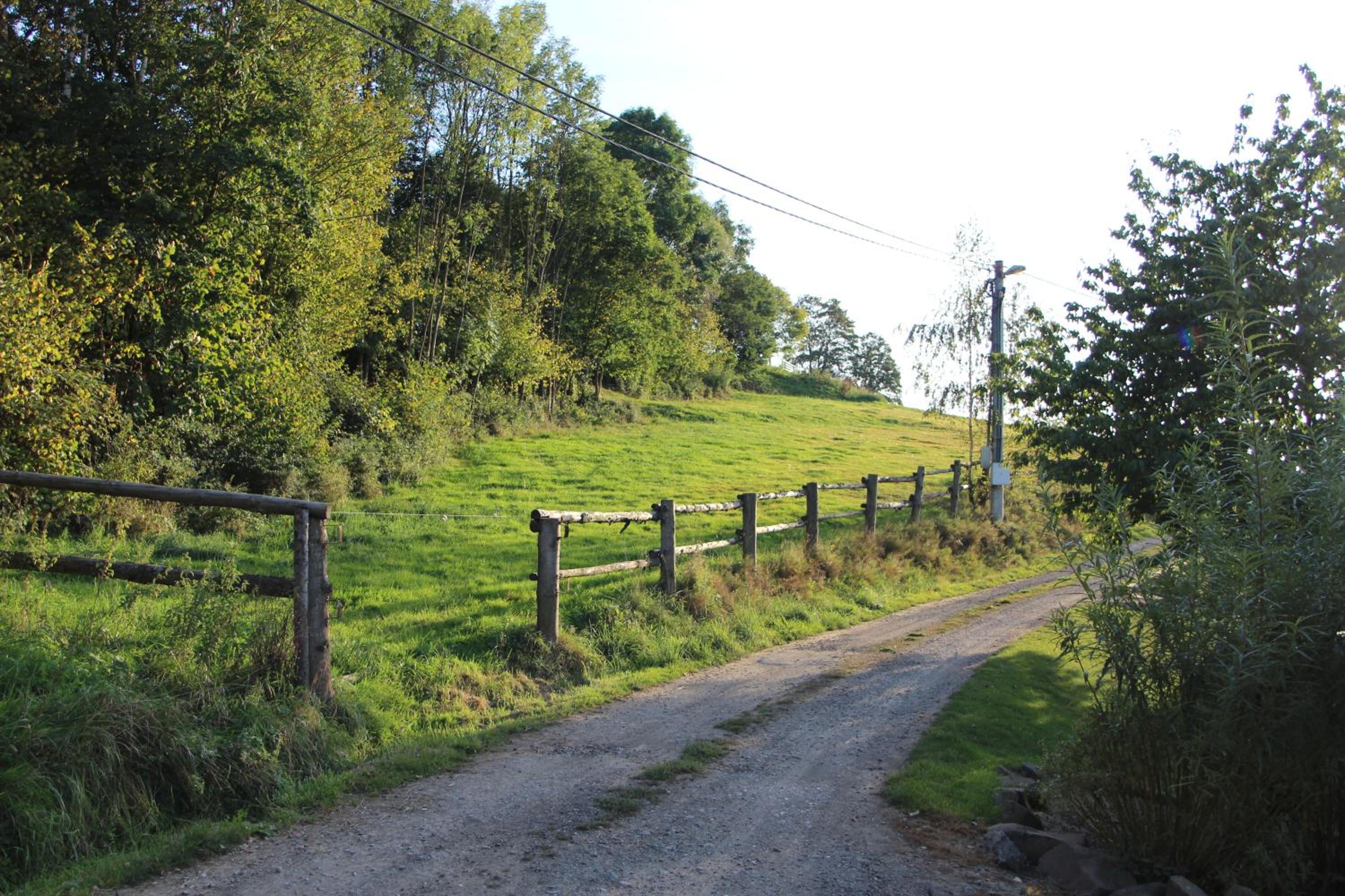 Photo 27