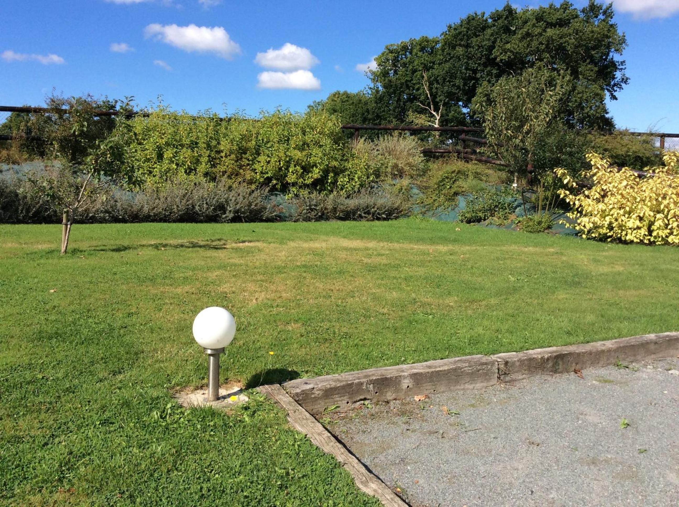 Photo 21