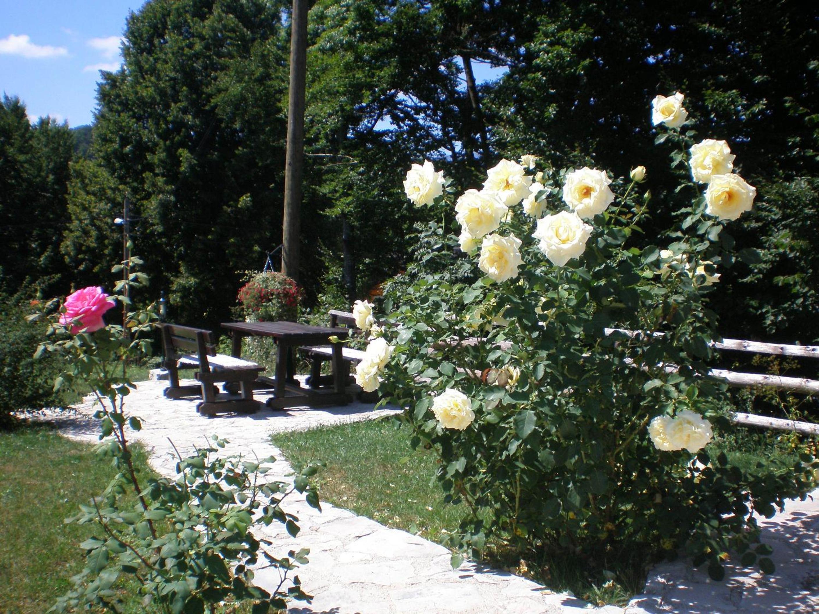 Villa Lykos Plitvice