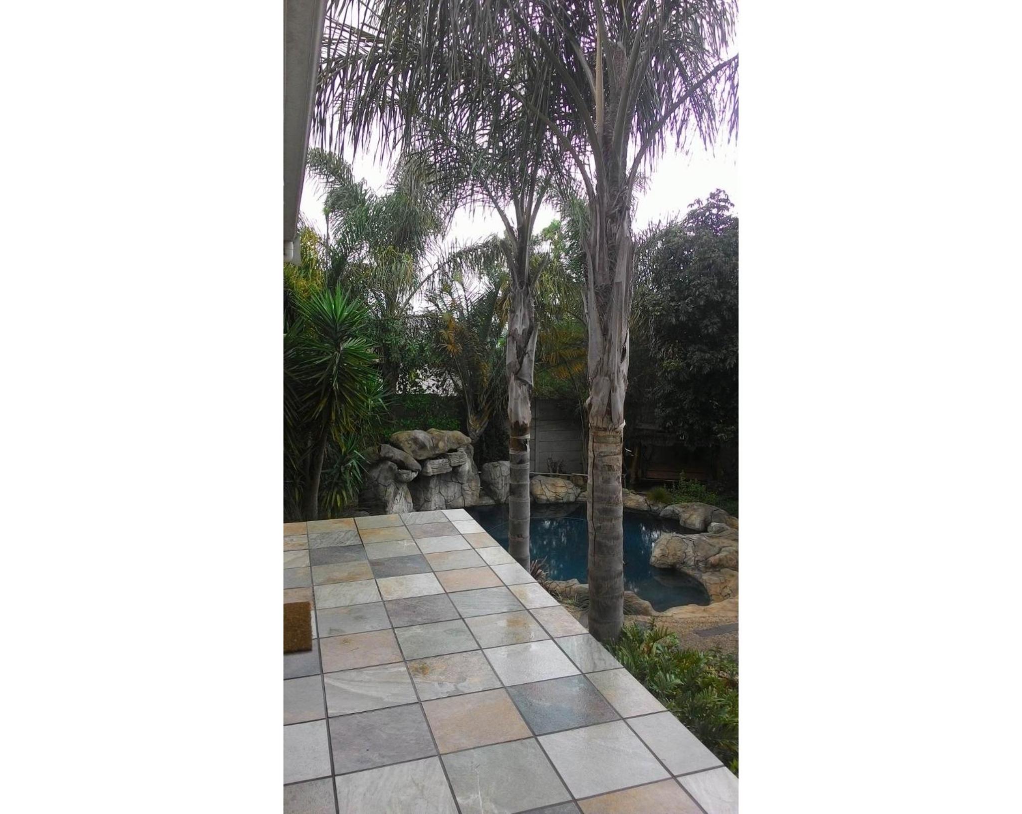 Protea Retreat