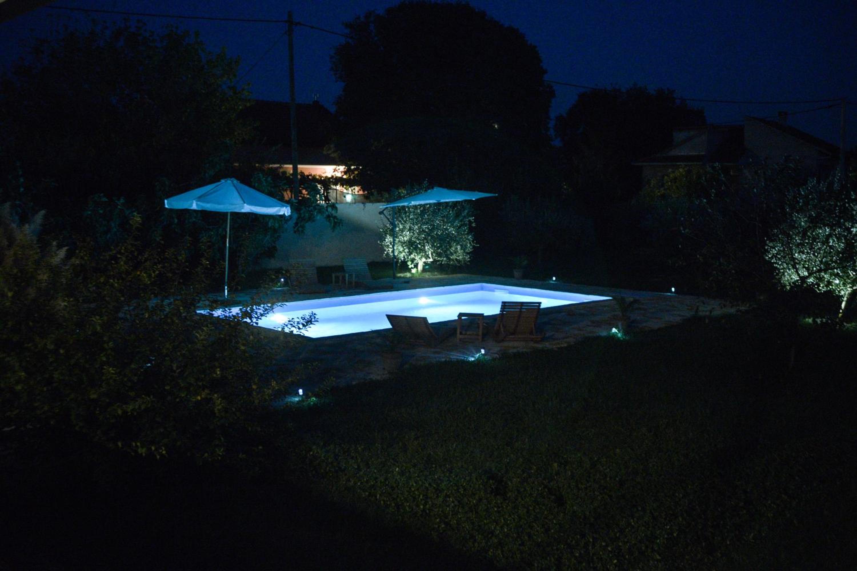 Photo 37