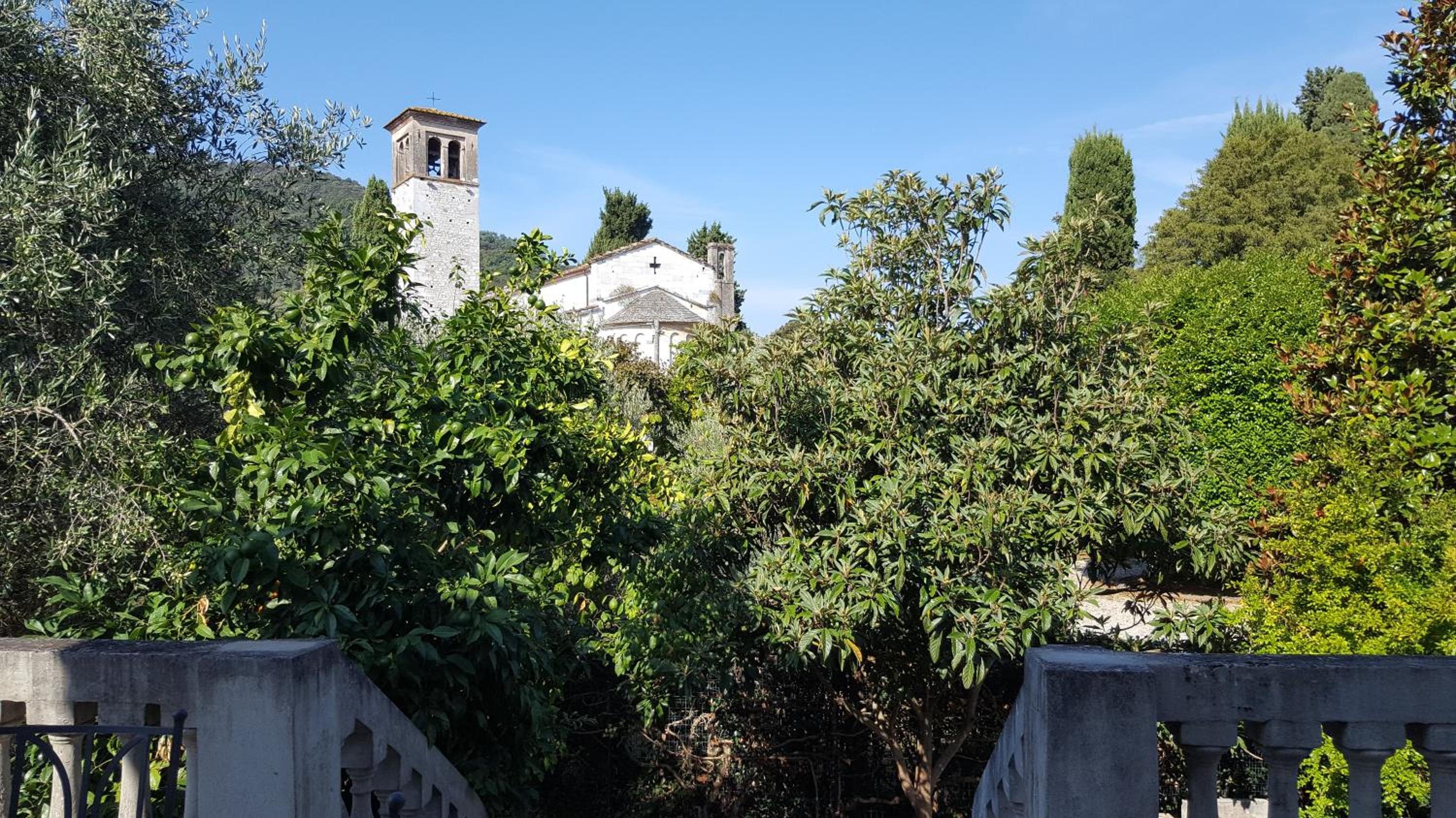 Photo 24