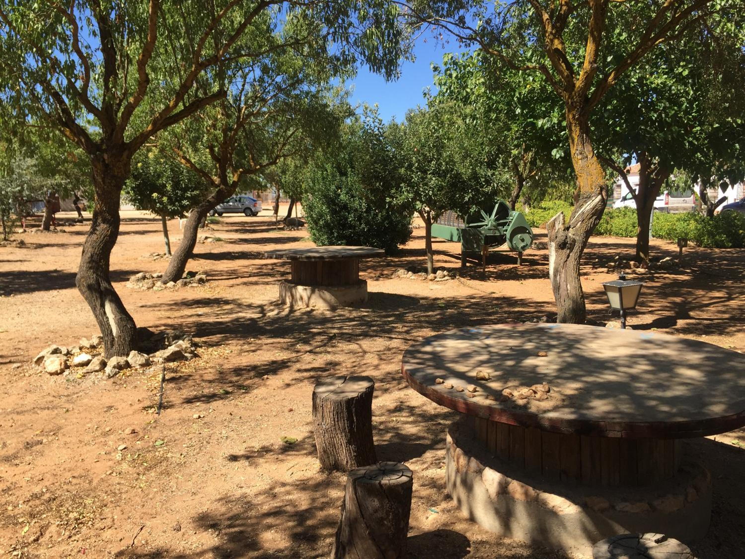 Photo 14