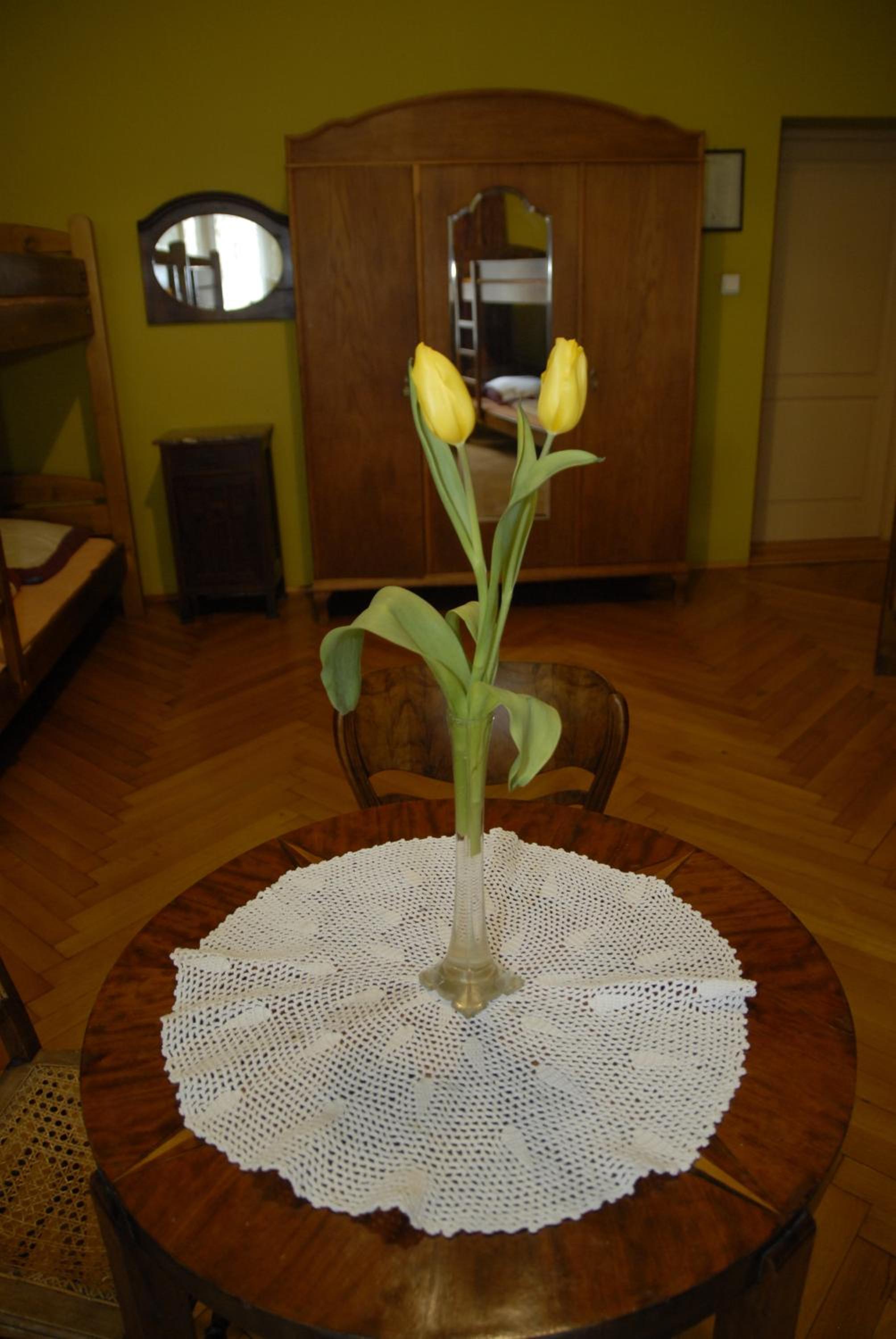 Hostel, Pokoje gościnne Mleczarnia - Ozonowane