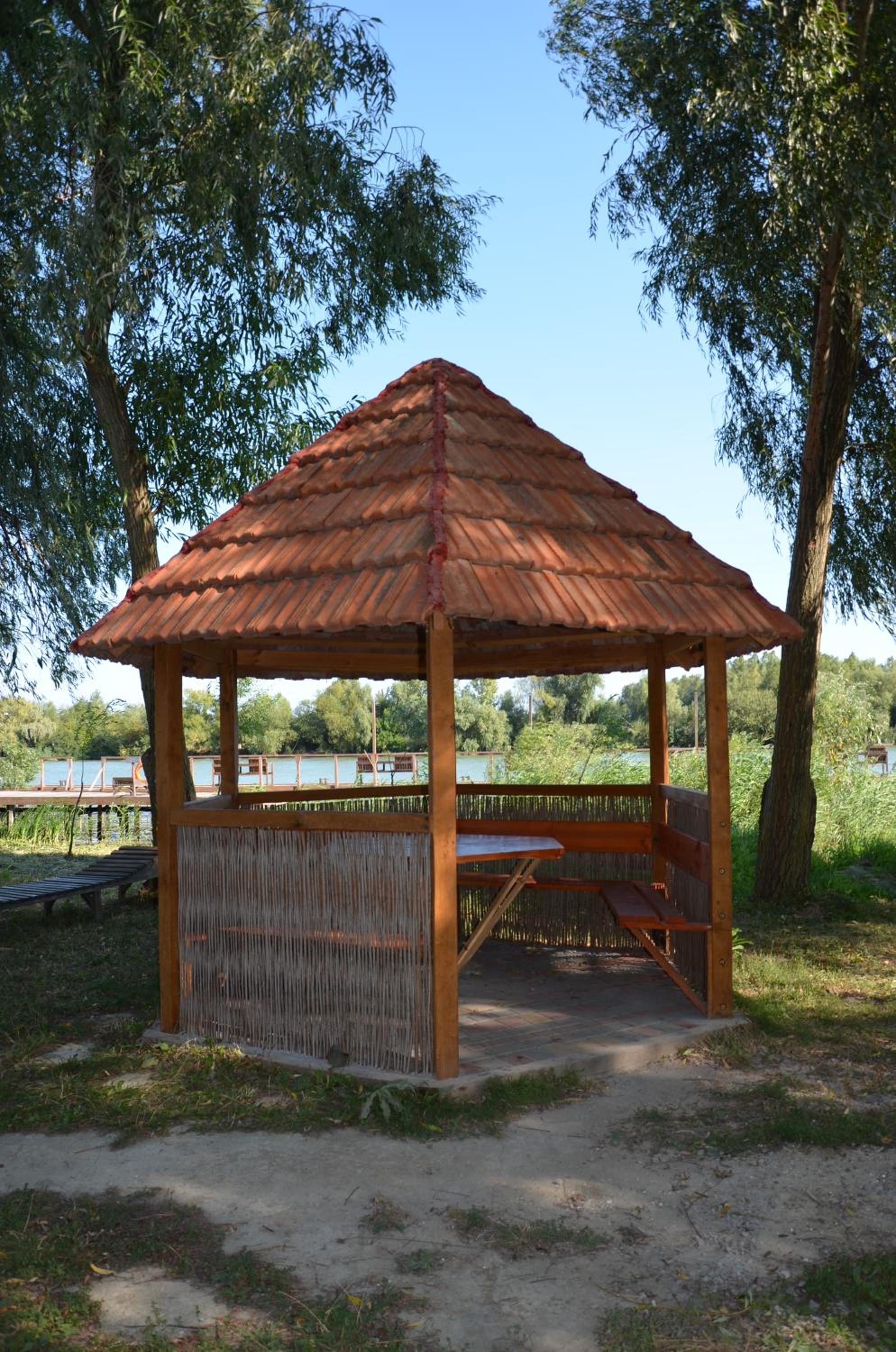 Photo 41