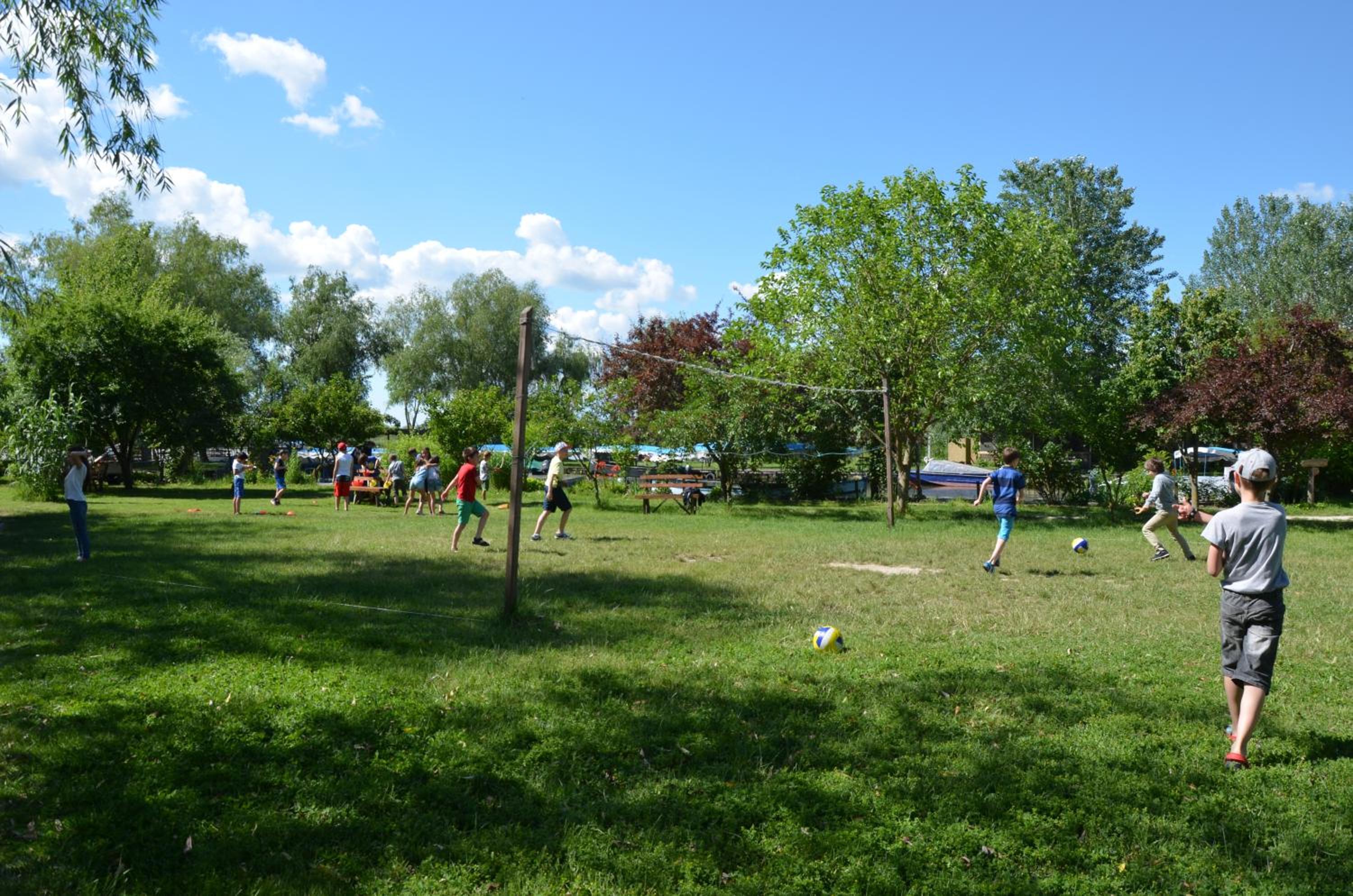 Photo 47