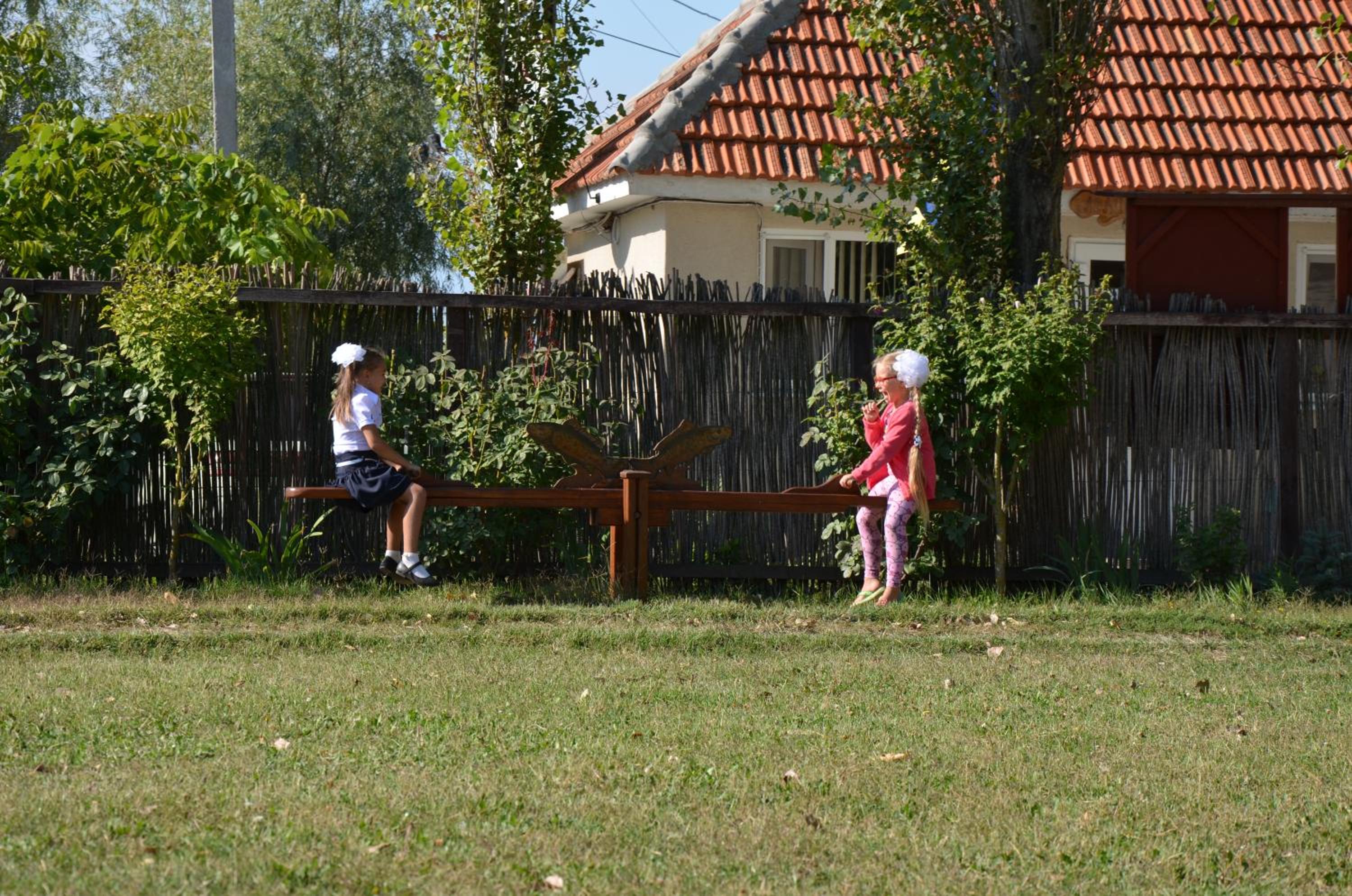 Photo 46