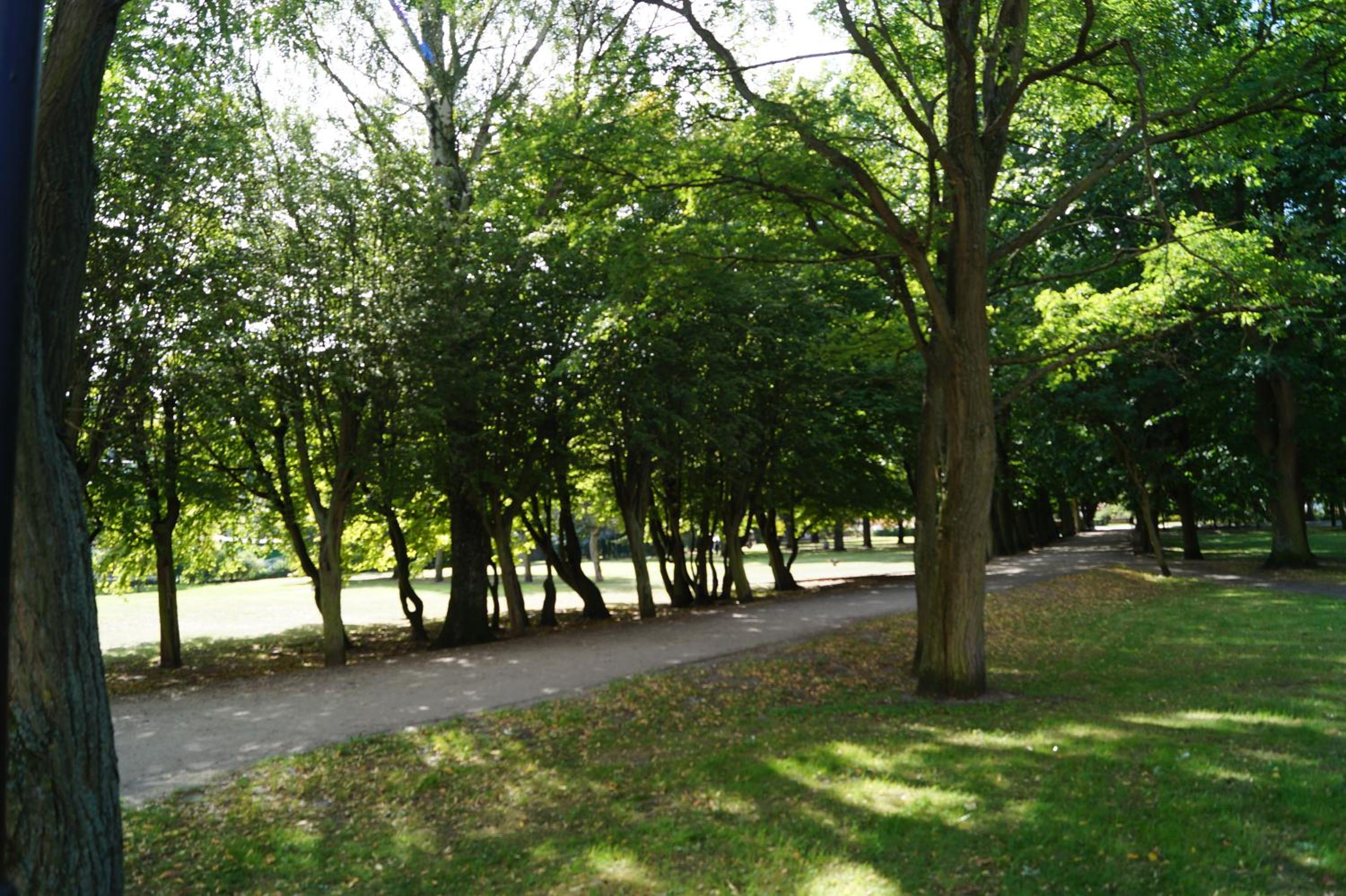 Photo 42
