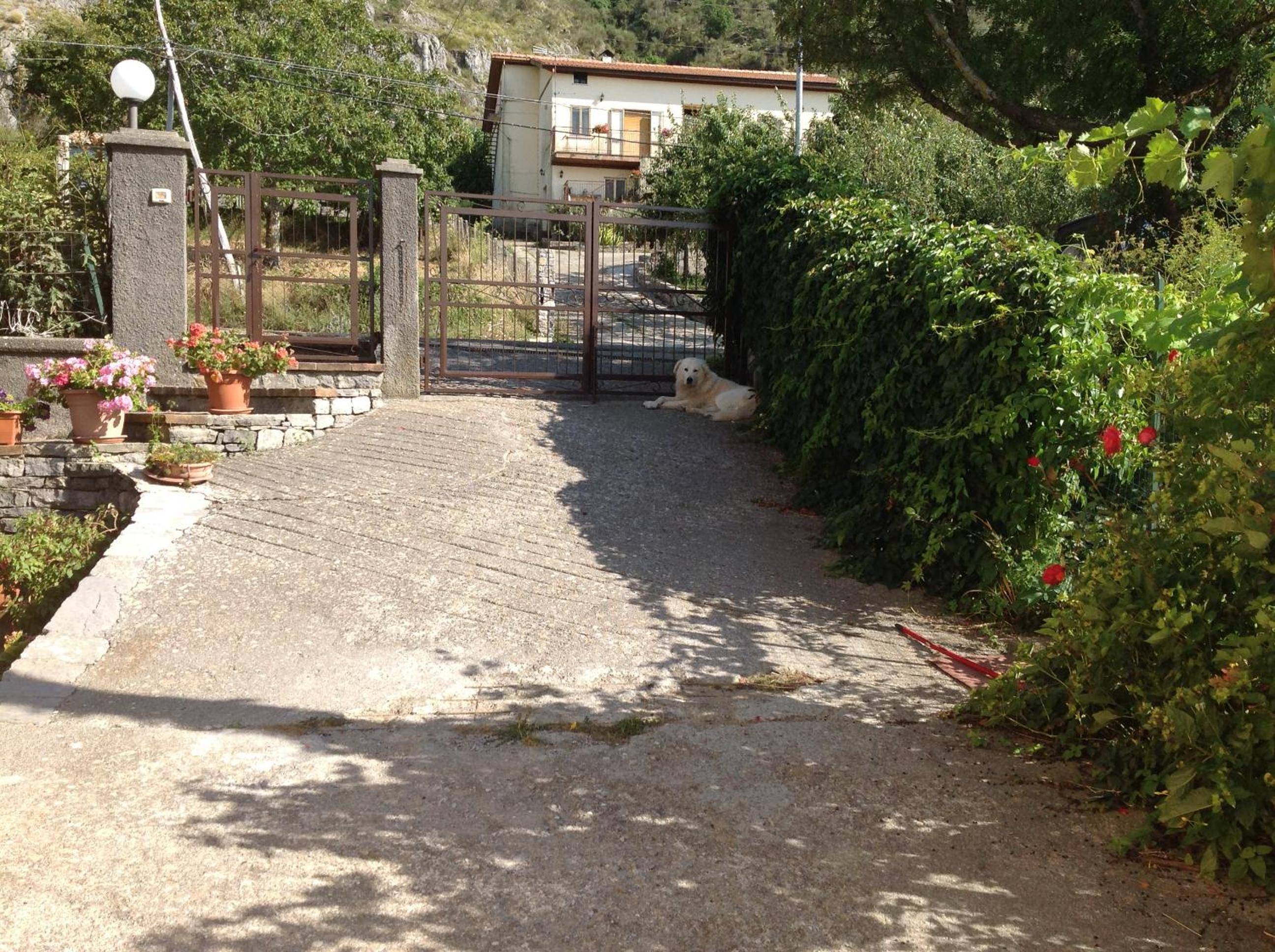 Photo 33