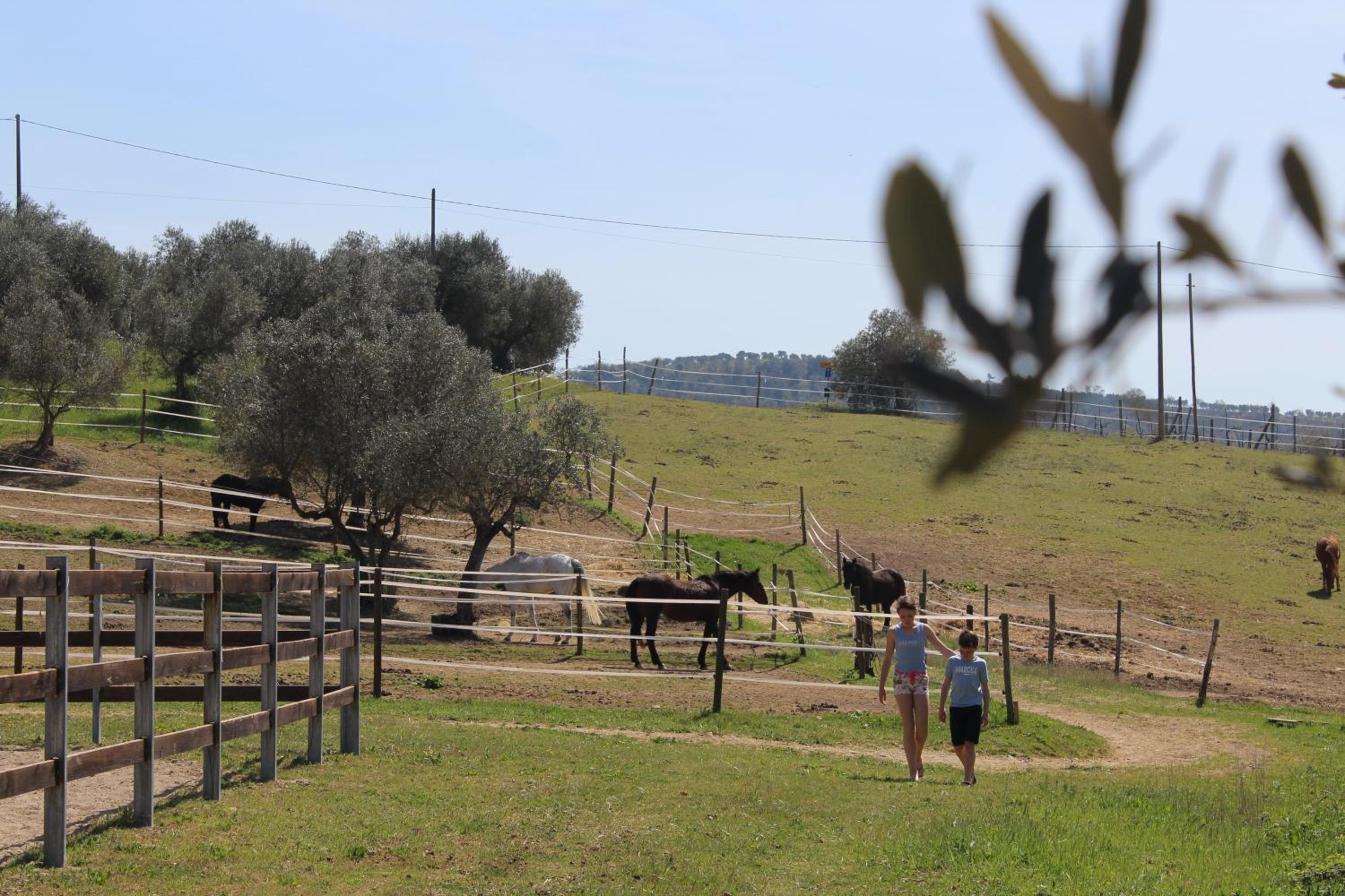 Agriturismo Poggio del Pero