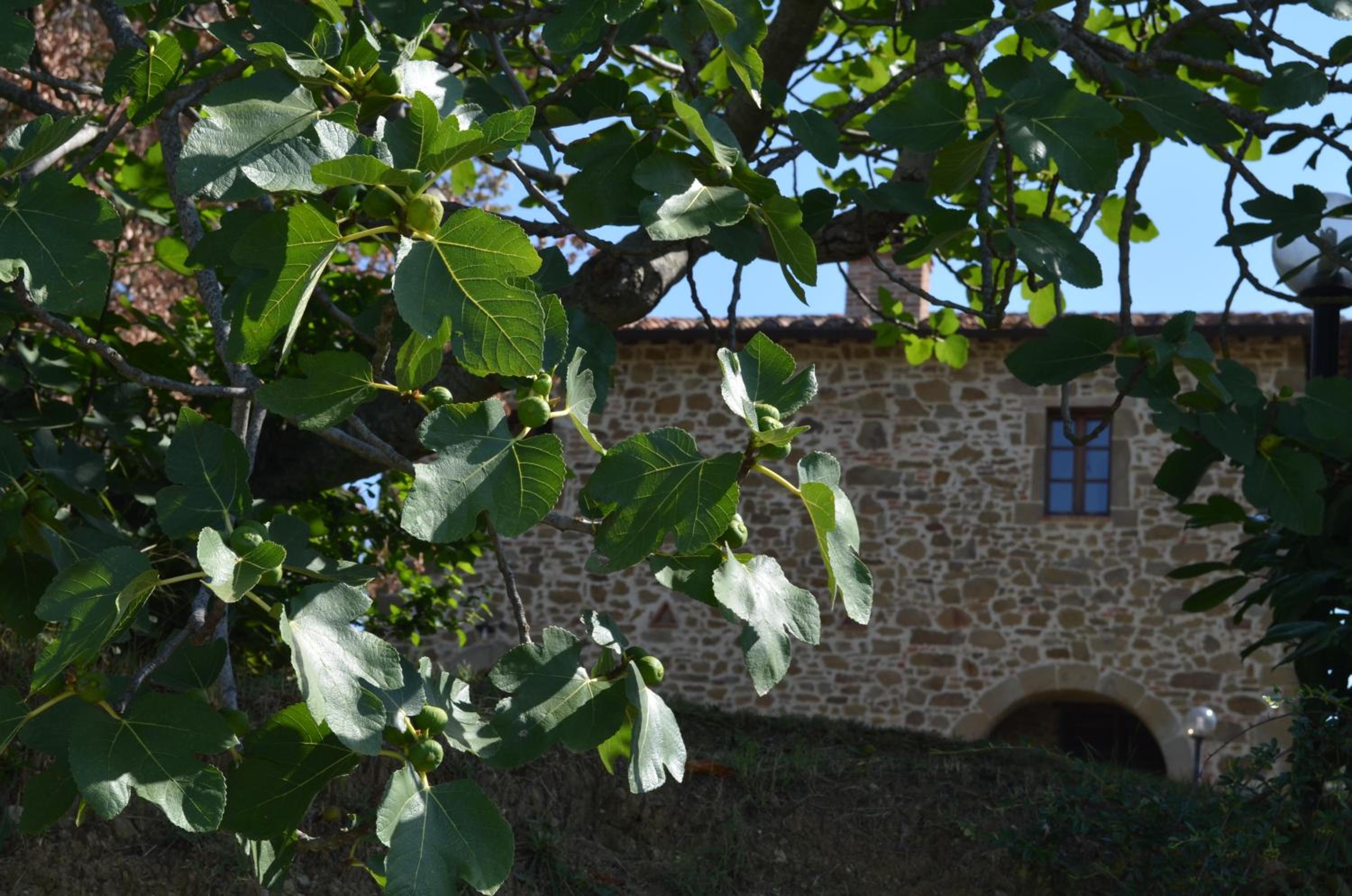 Agriturismo Poggio del Pero