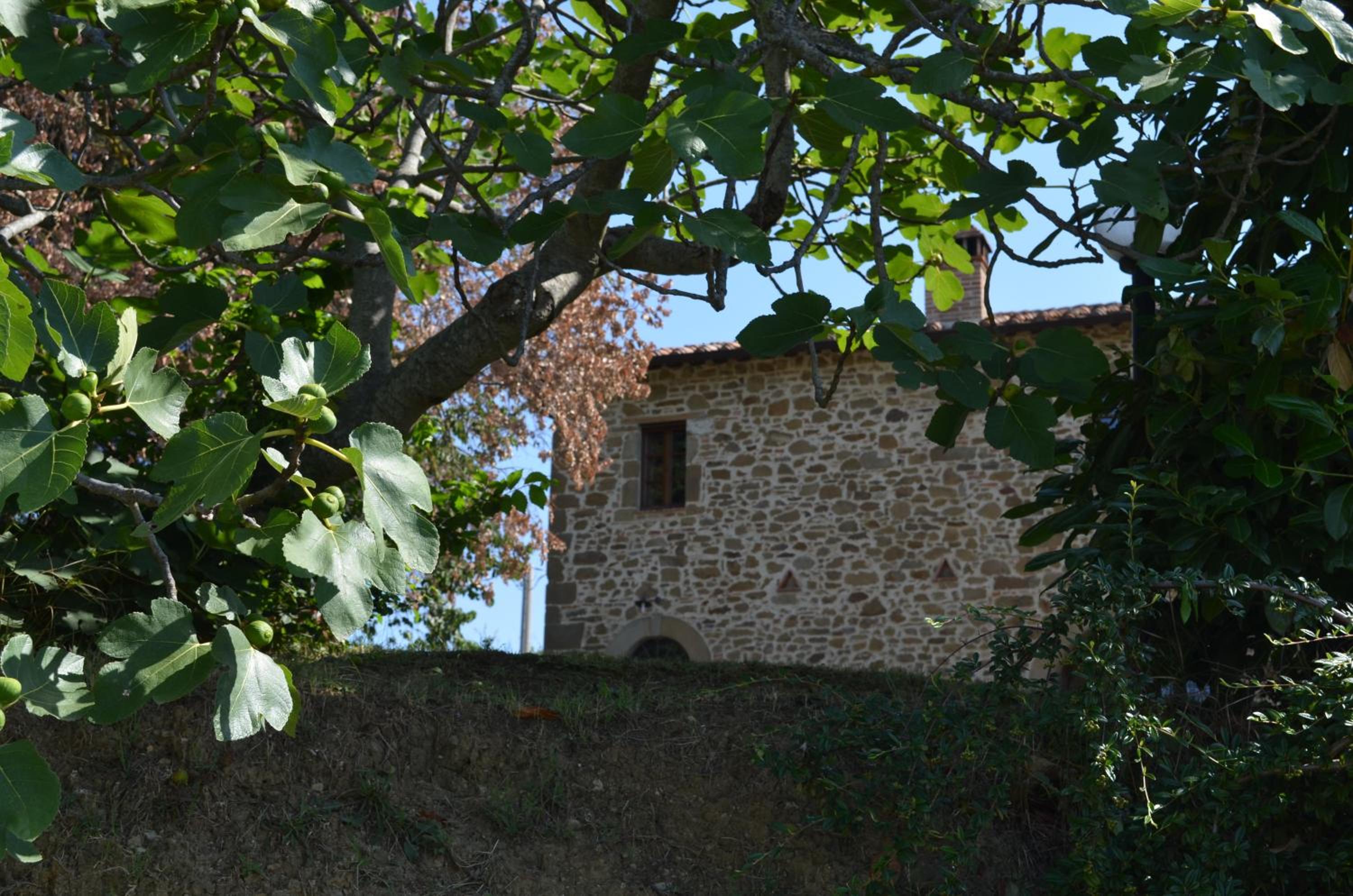 Agriturismo Poggio del Pero