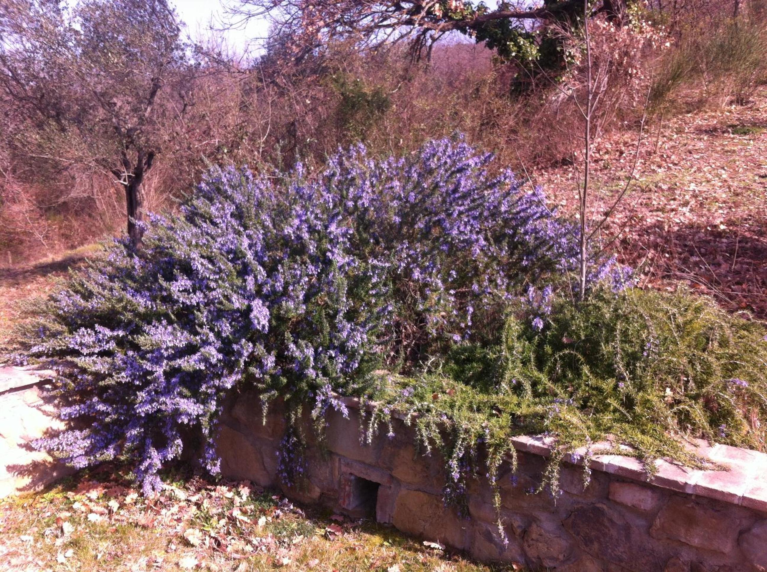 Agriturismo Poggio del Pero