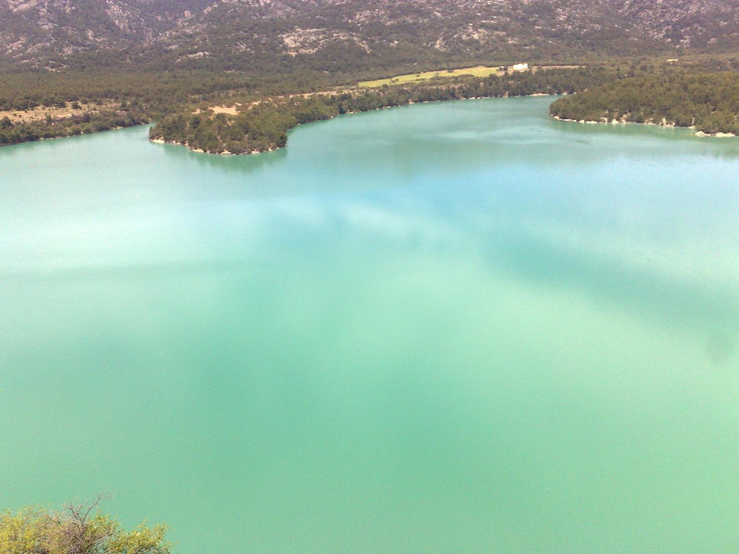 Photo 44