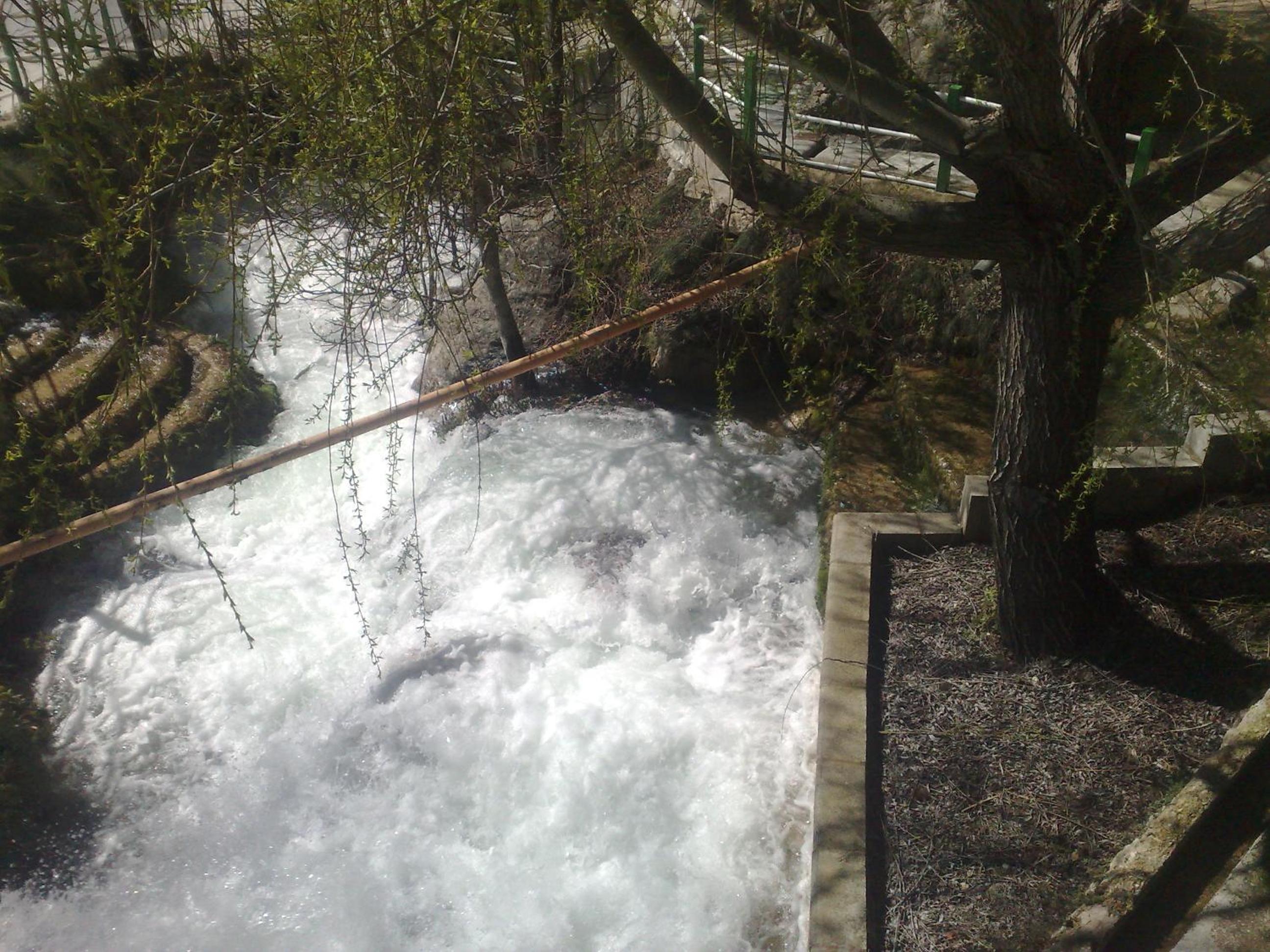 Photo 40