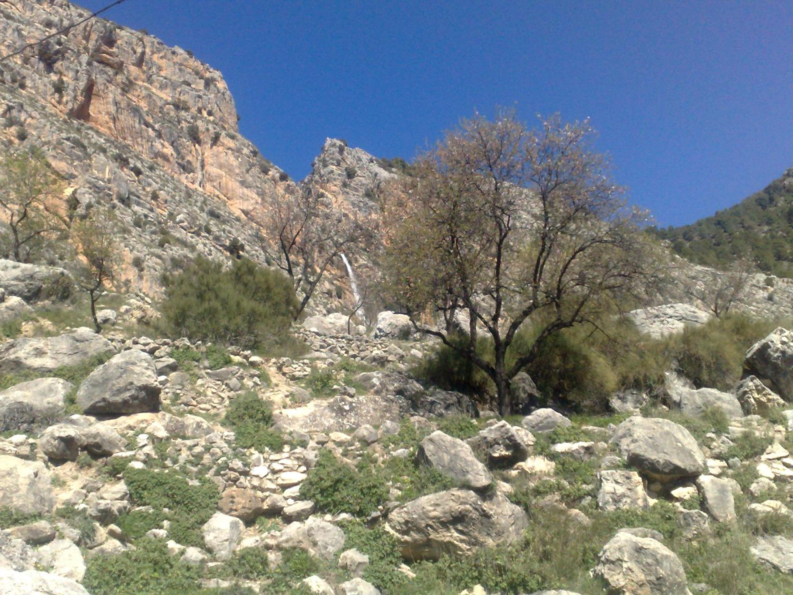 Photo 47