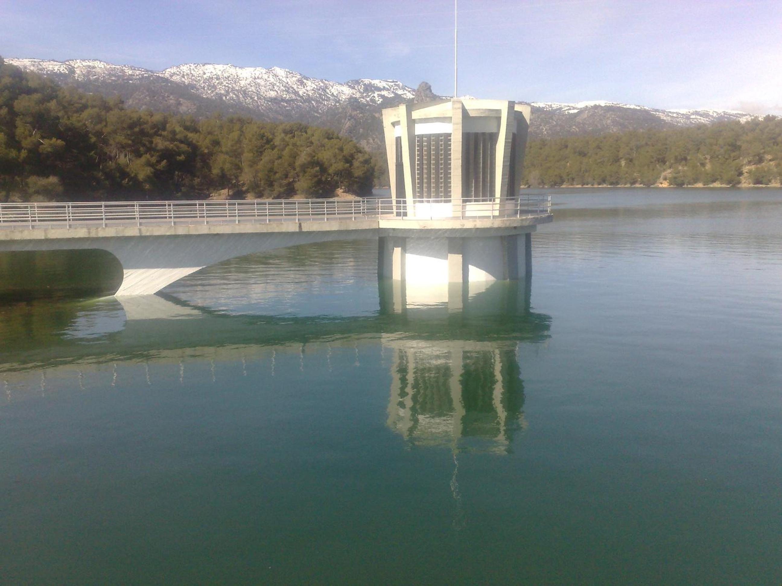 Photo 42